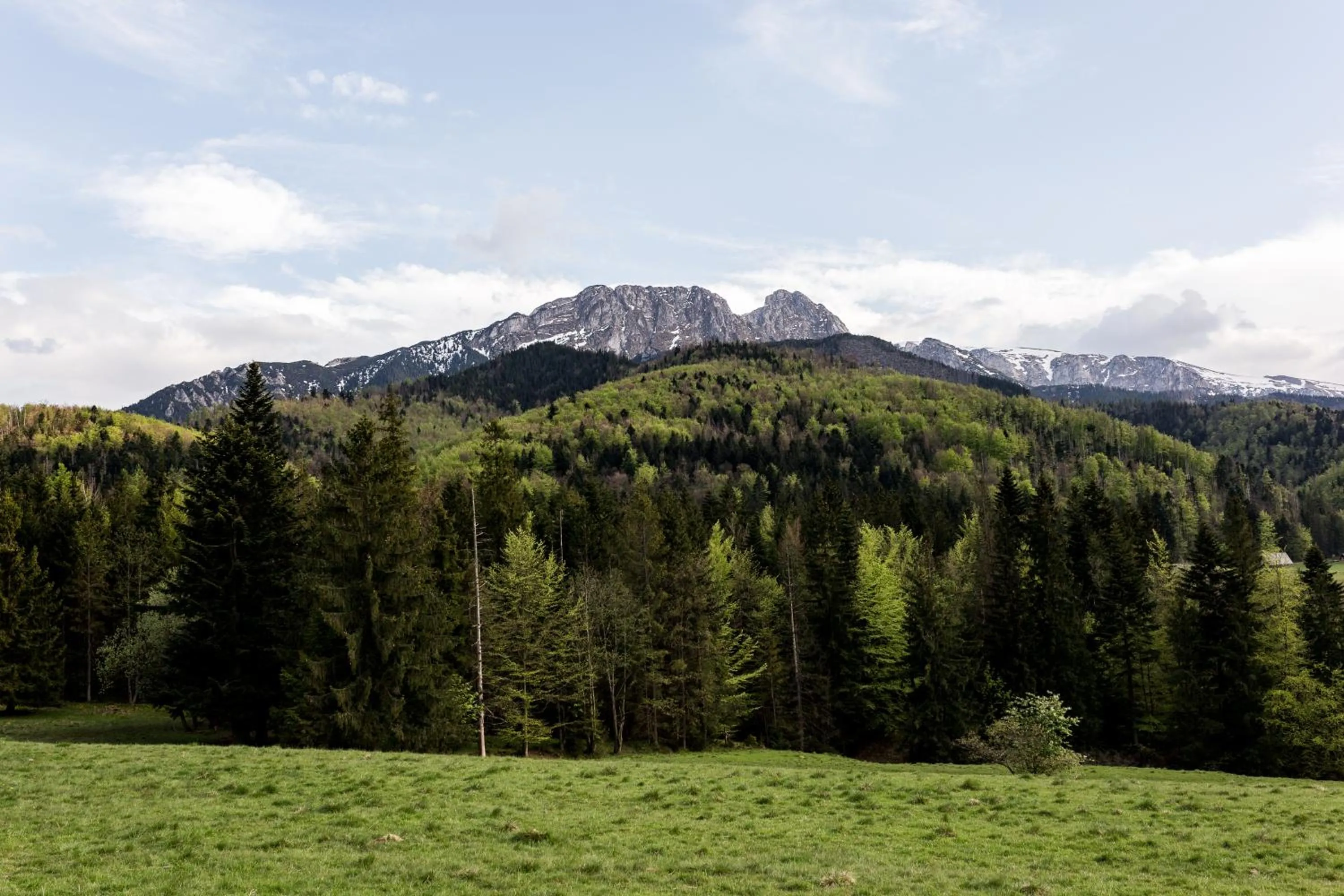 Nearby landmark in Szarotka
