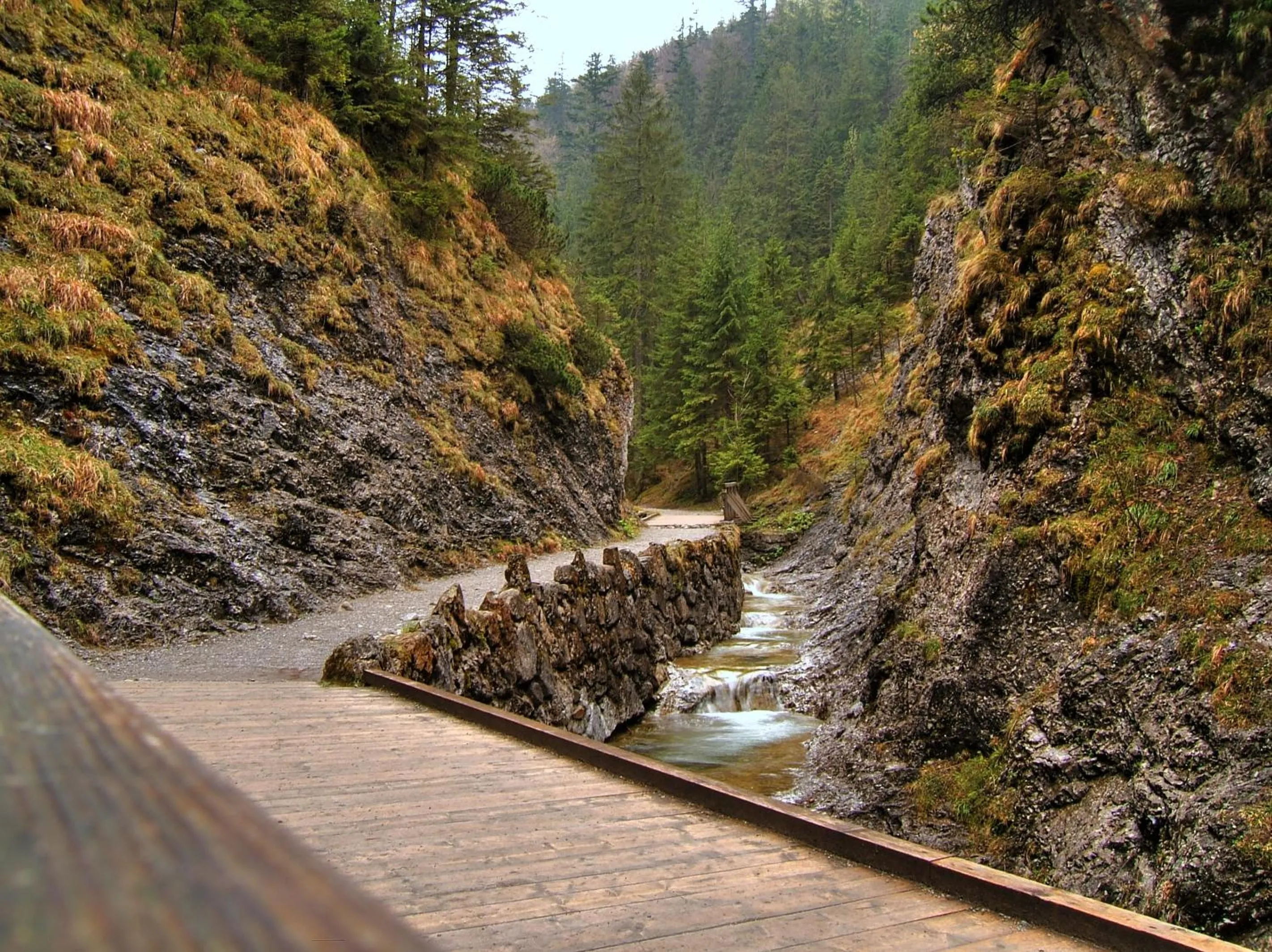 Nearby landmark in Szarotka