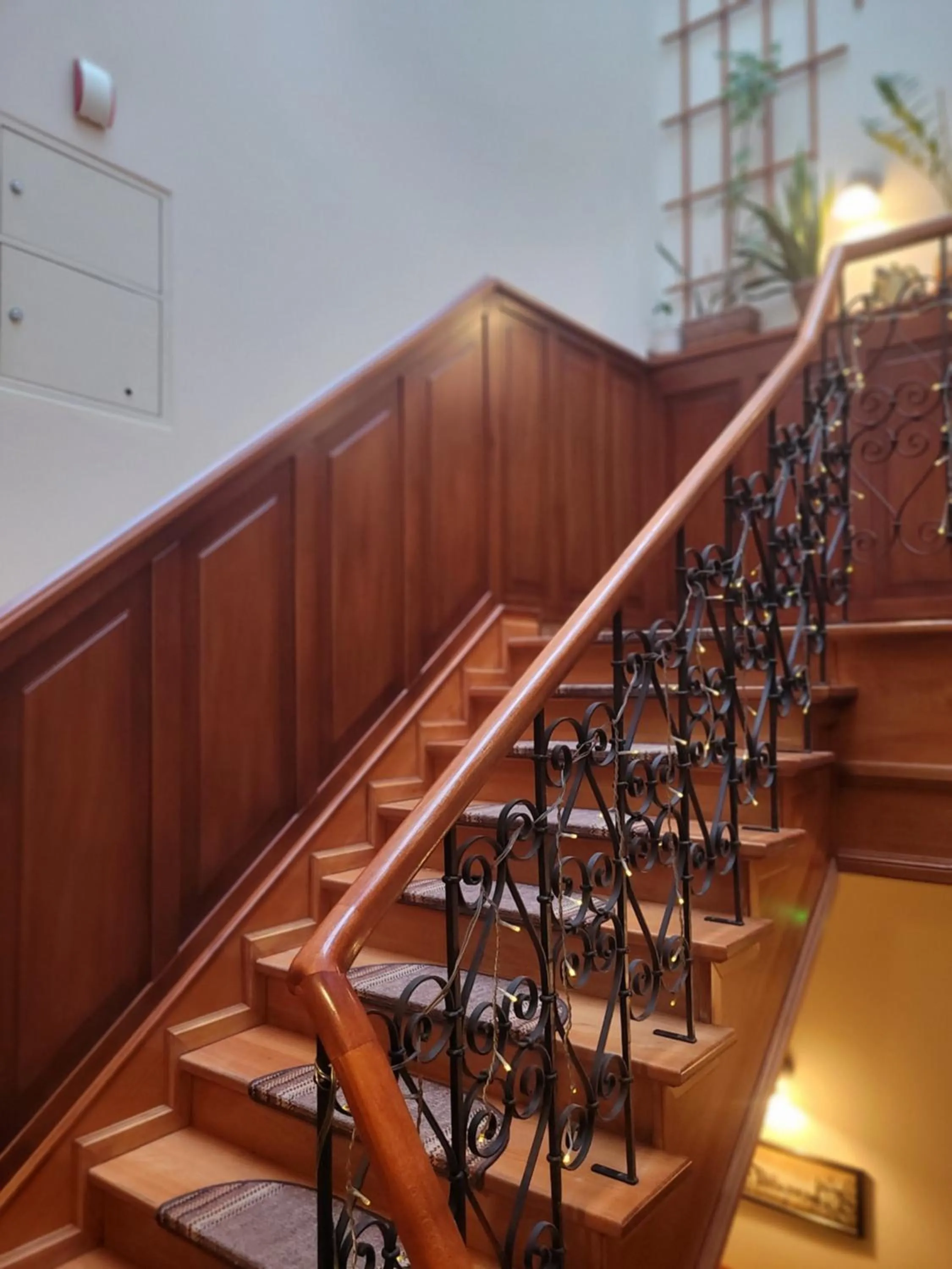 Property building in Kazimierz Secret