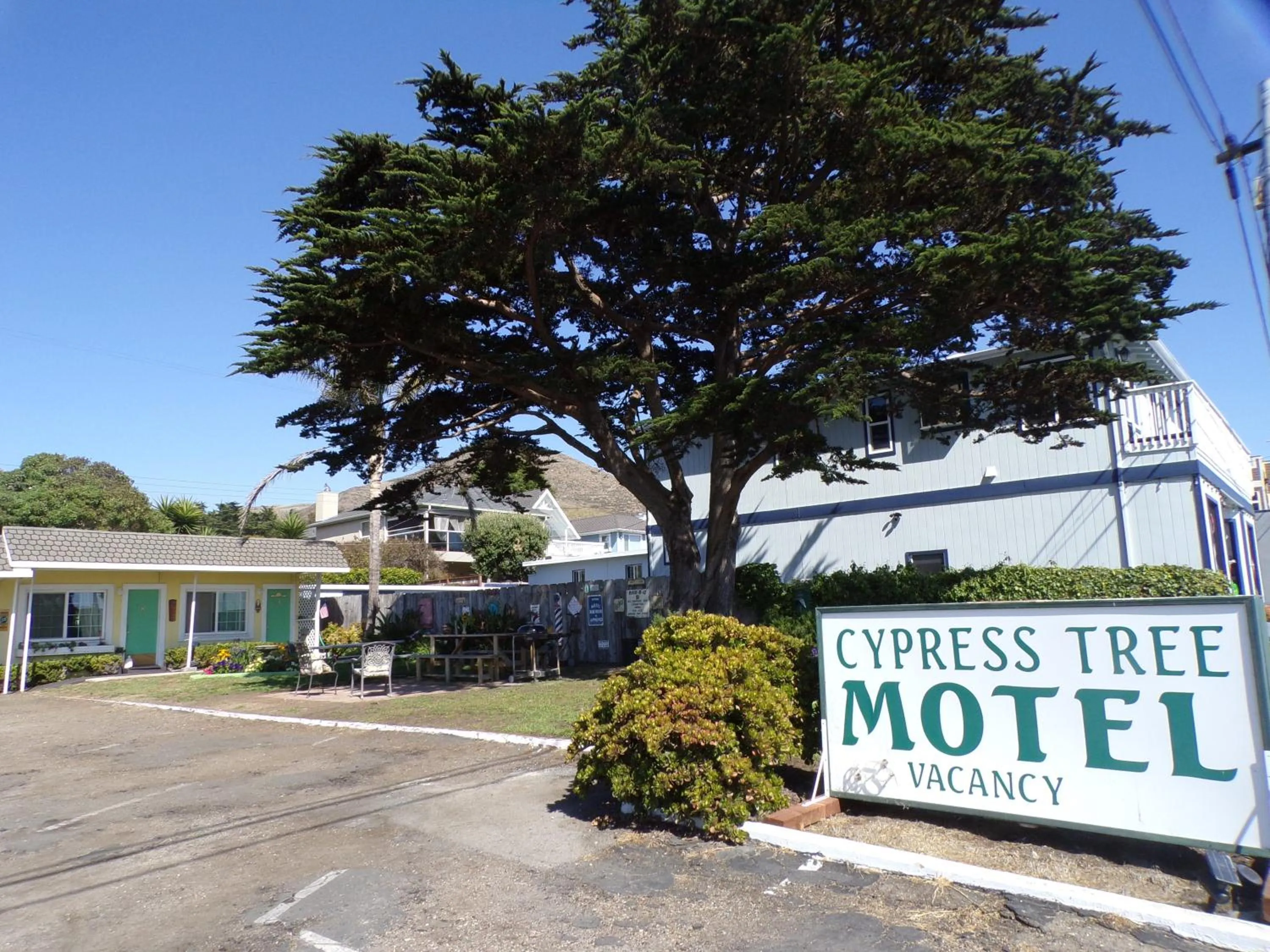 Property building in Cypress Tree Motel