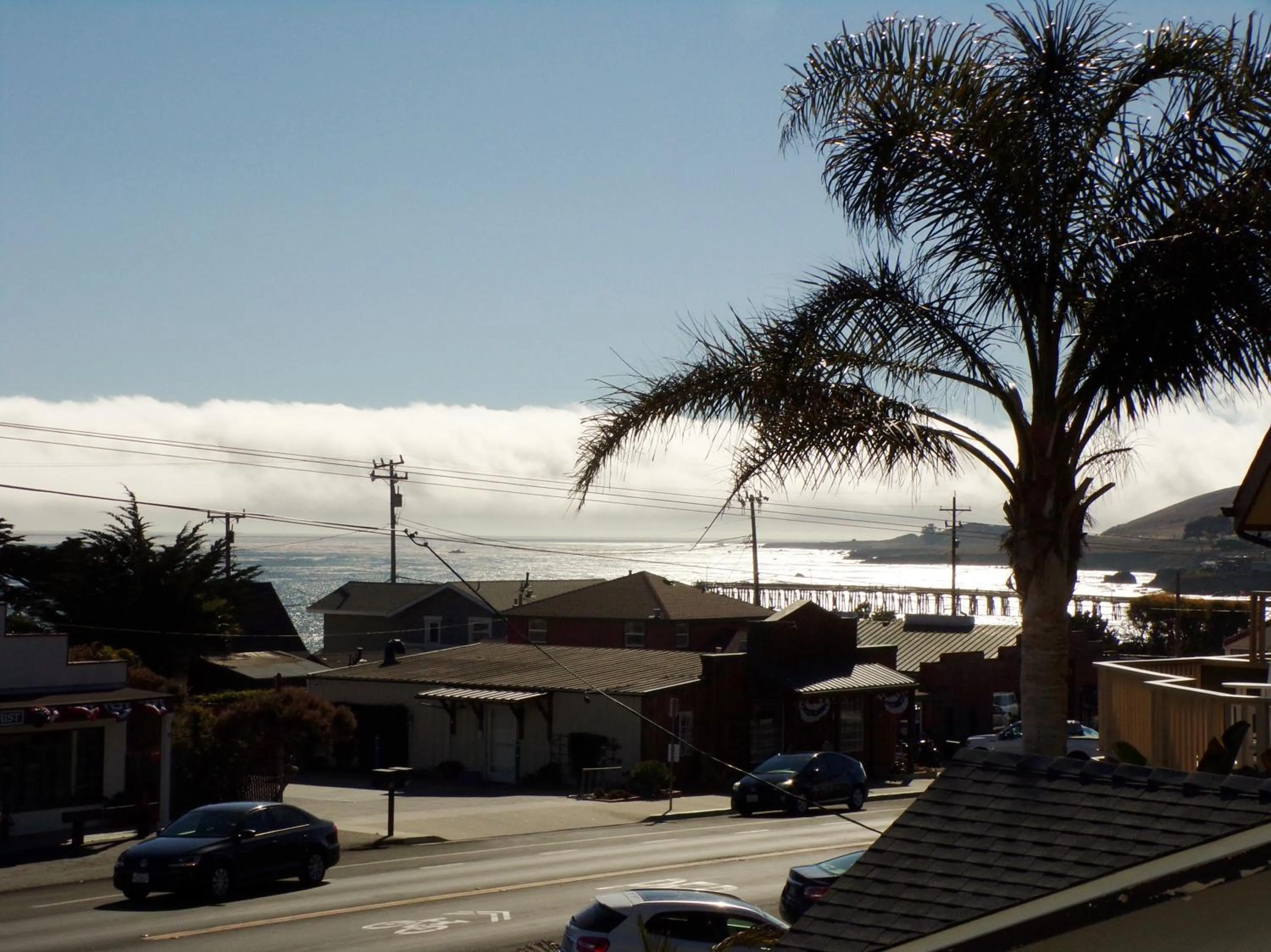 View (from property/room) in Cypress Tree Motel