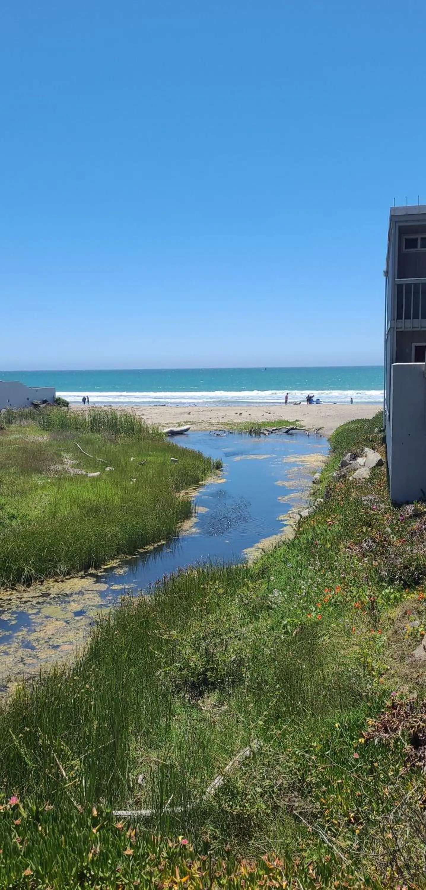 Beach in Cypress Tree Motel
