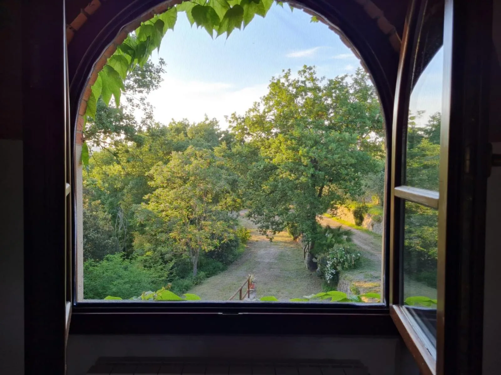 Garden view in Il Castellaccio di Figline