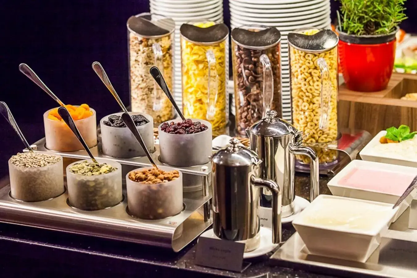 Food in Qubus Hotel Kielce Food in Qubus Hotel Kielce