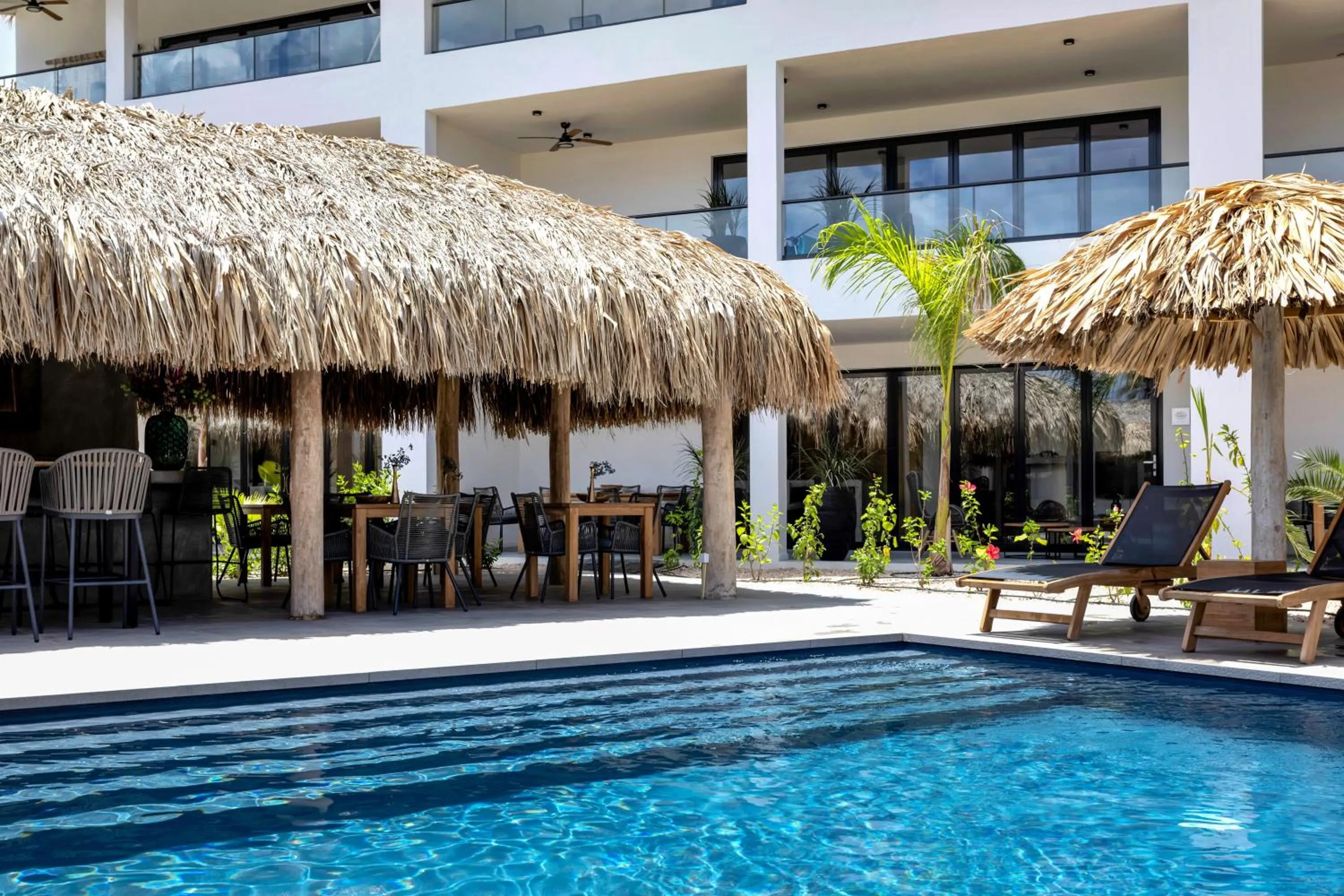 Lounge or bar in Belnem House Bonaire