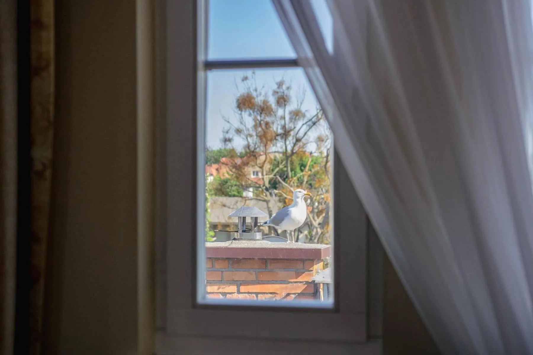 View (from property/room) in Villa Sedan - Destigo Hotels