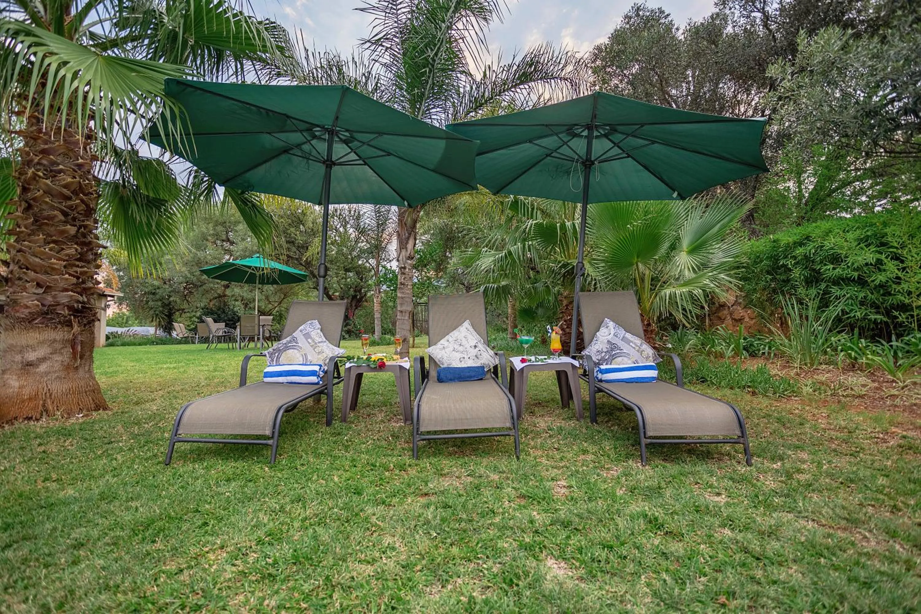 Garden in Three Oaks and an Aloe Boutique Hotel