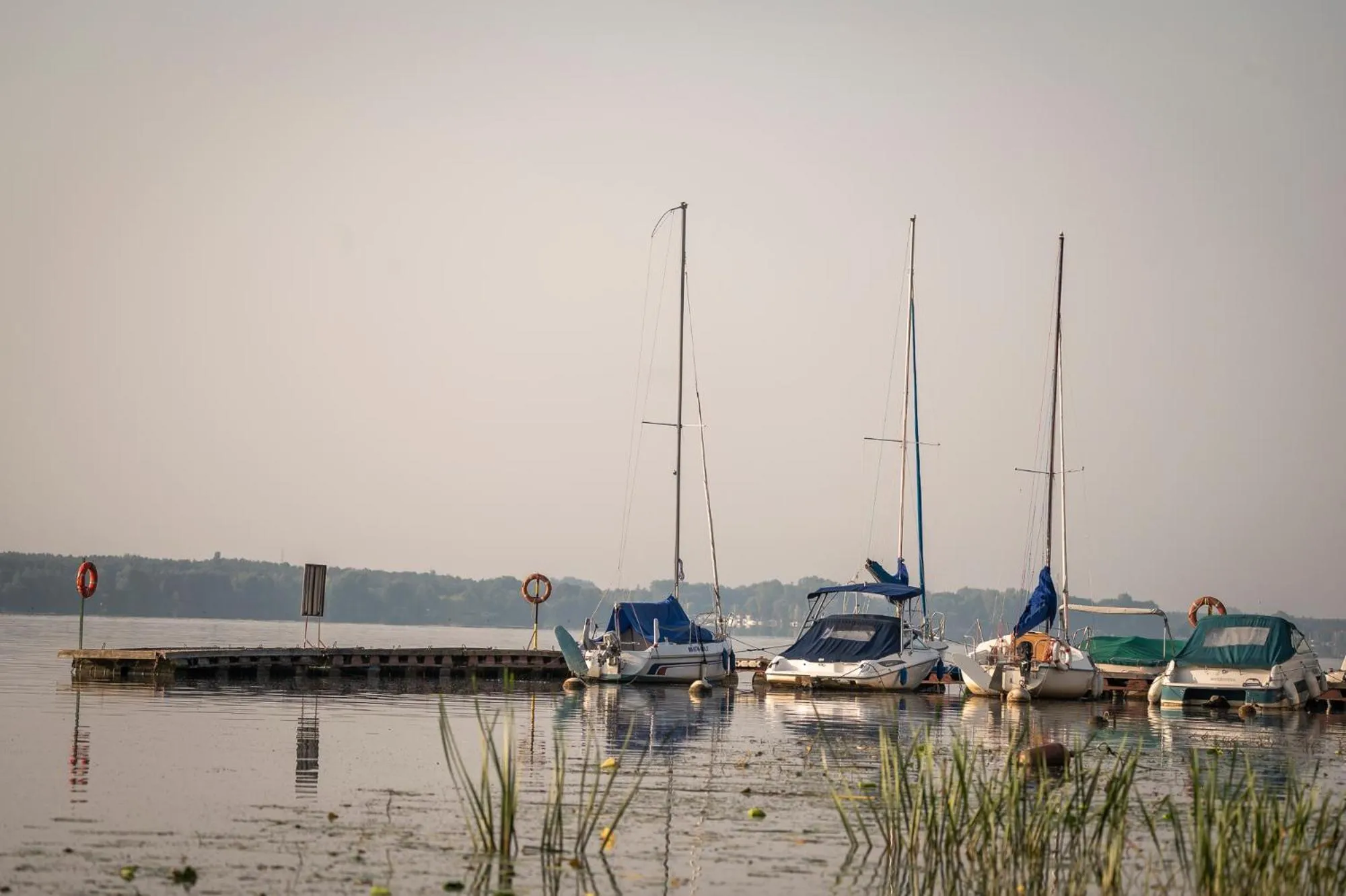 Day in Geovita w Jadwisinie