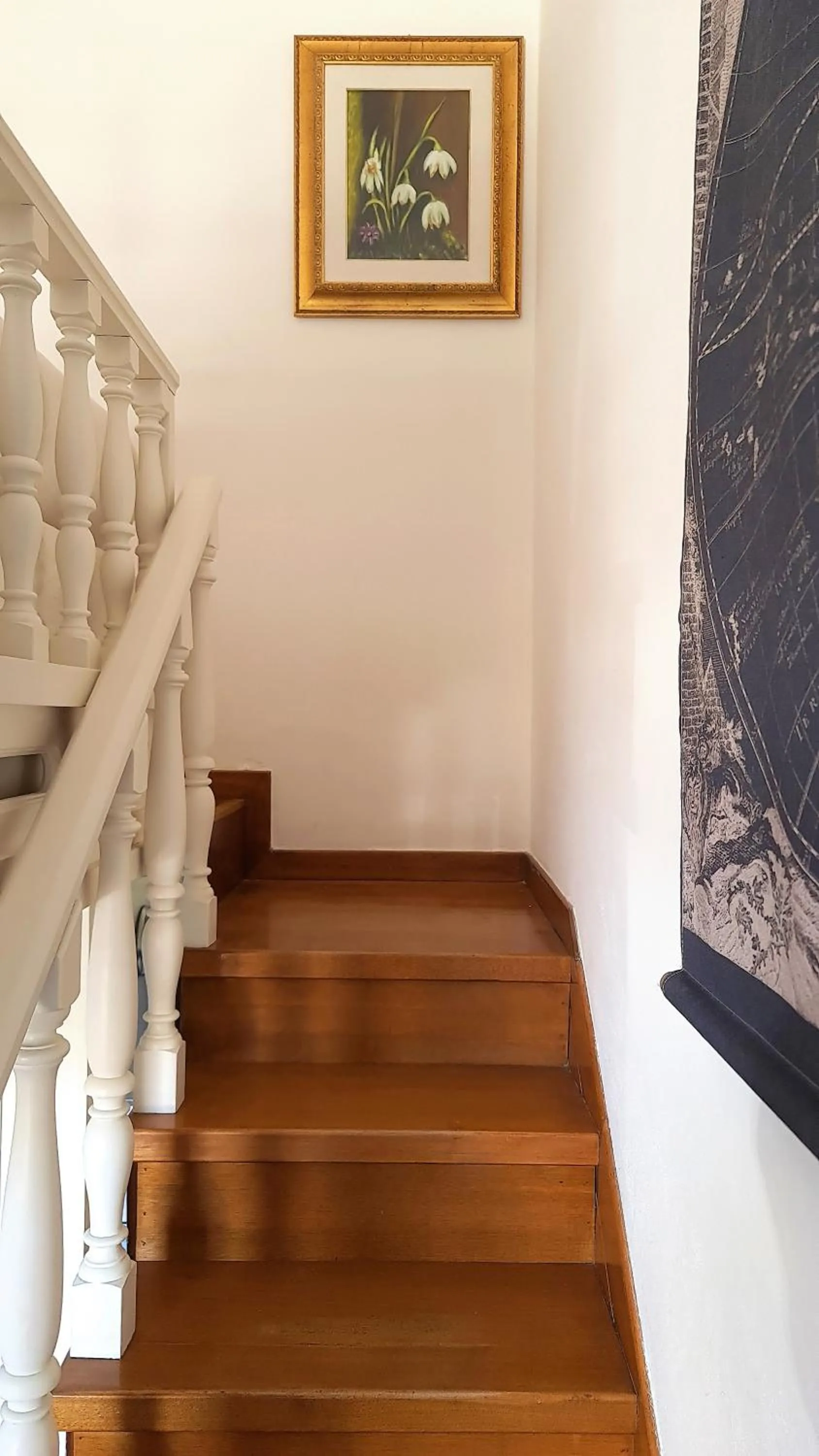 Other in Suite Carducci Viareggio