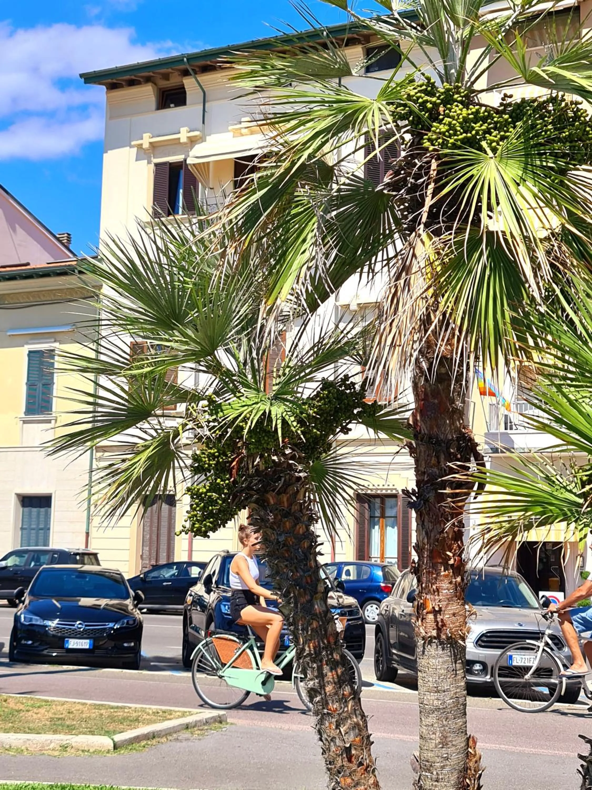 Property building in Suite Carducci Viareggio