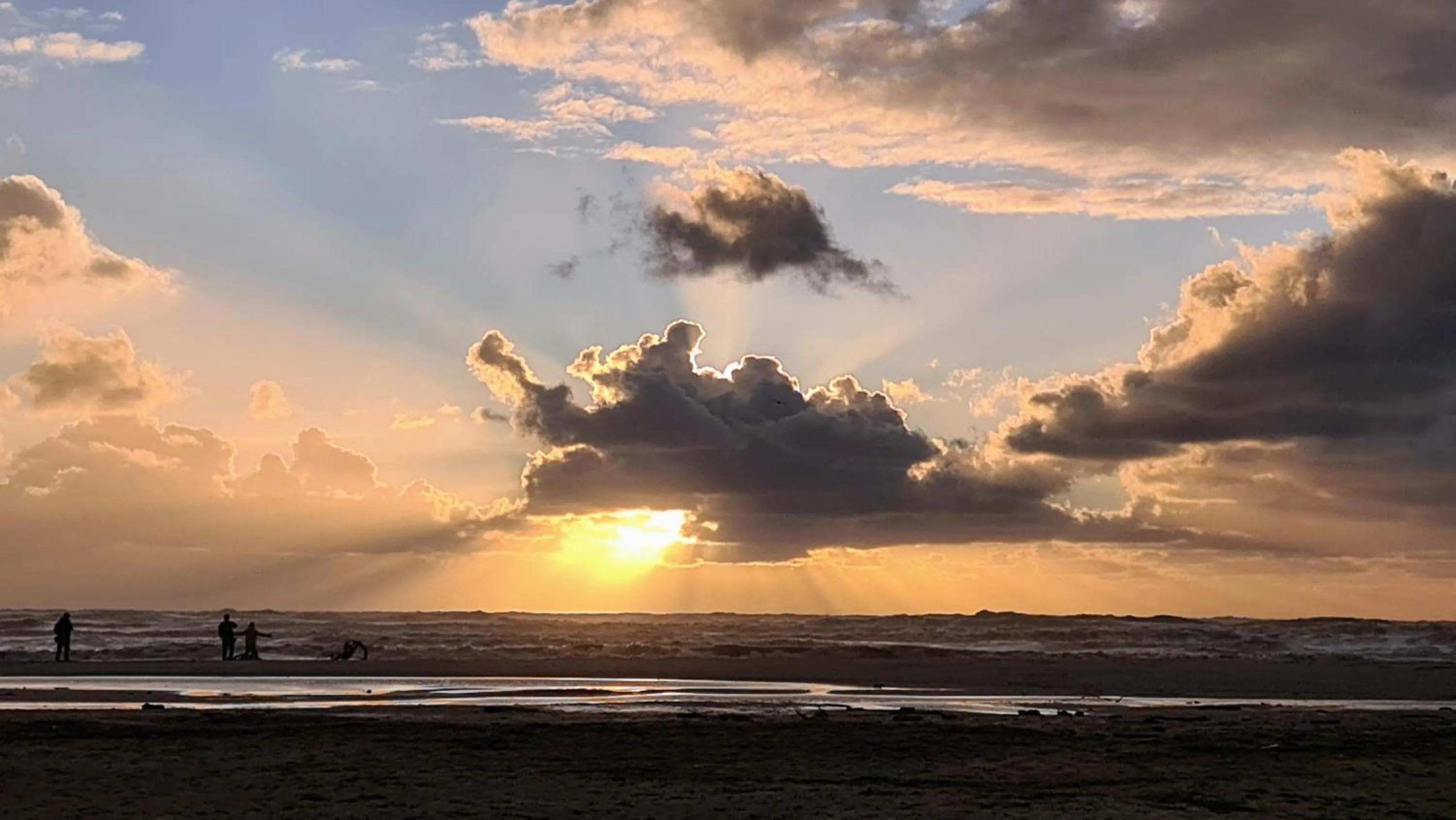 Beach in Suite Carducci Viareggio