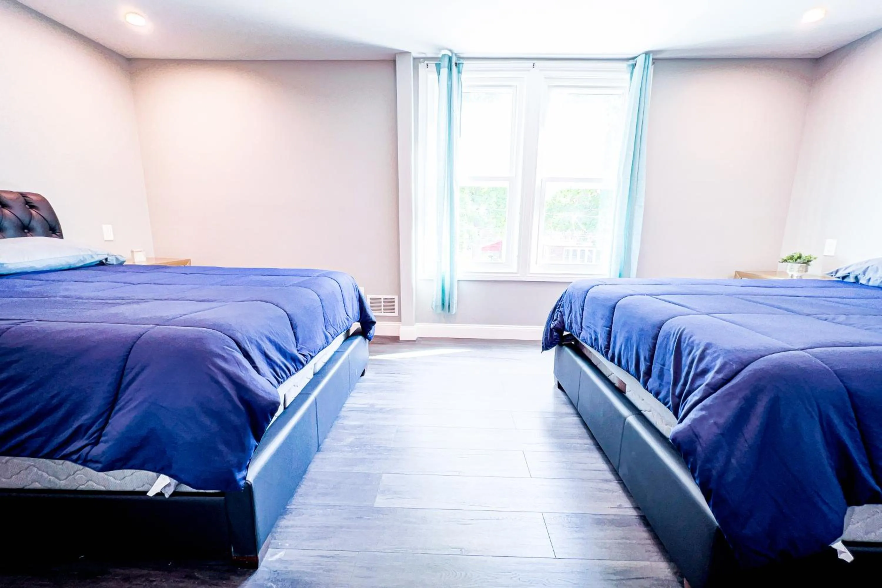 Bed in The Griffon House