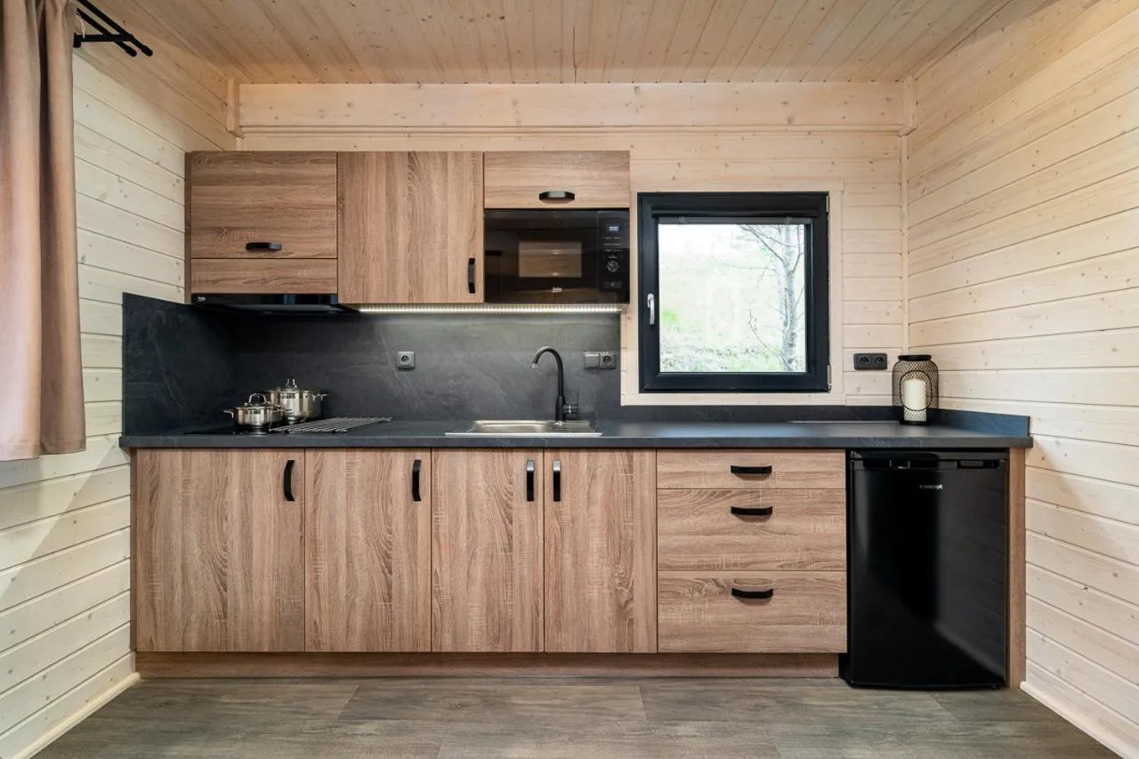 Kitchen or kitchenette in Hotel Vega Luhacovice