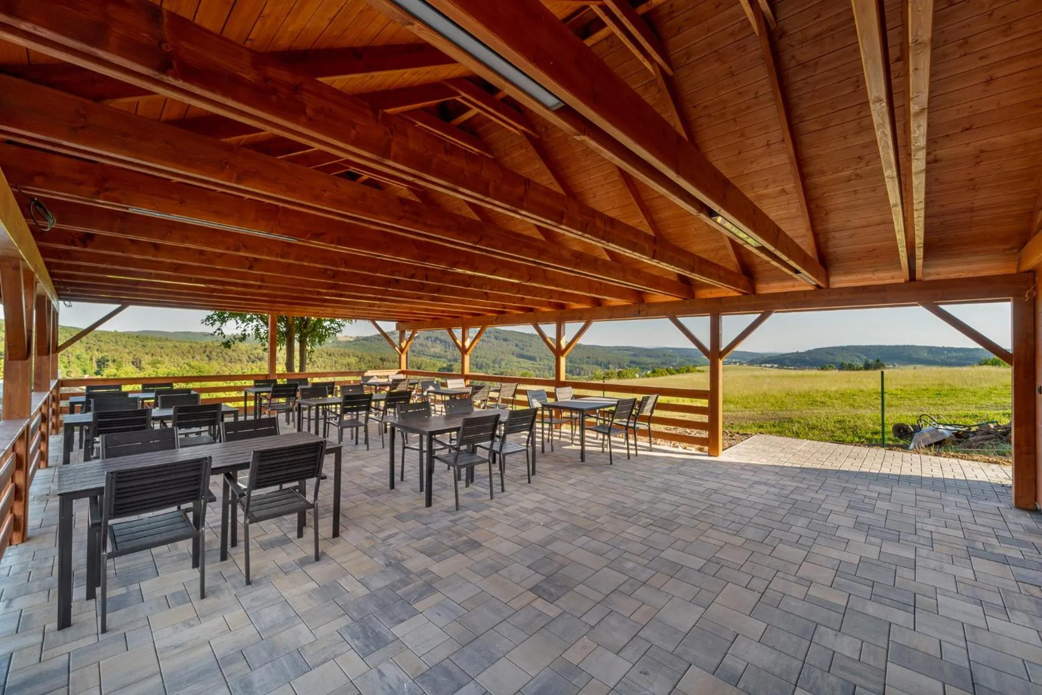 Restaurant/places to eat in Hotel Vega Luhacovice