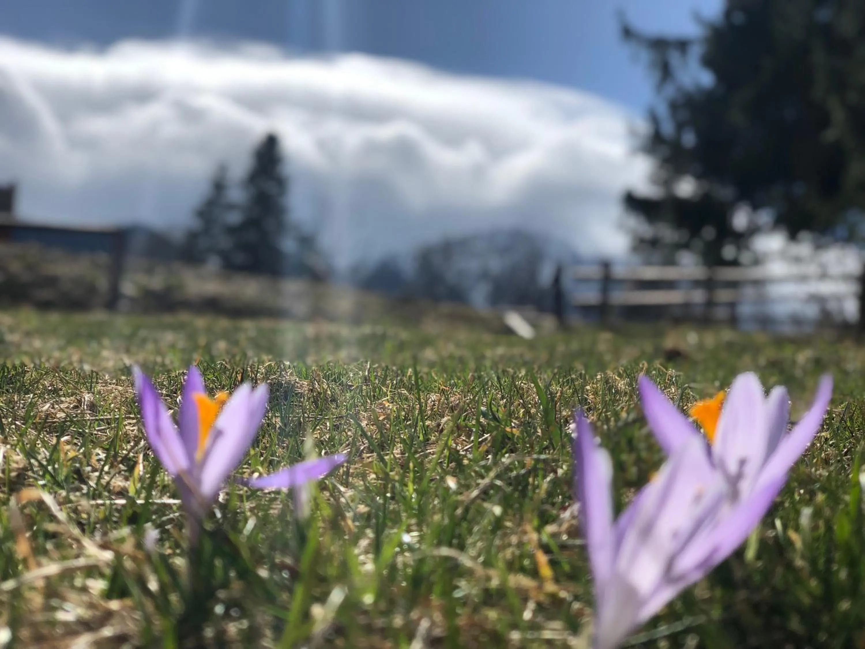 Day in Geovita Zakopane