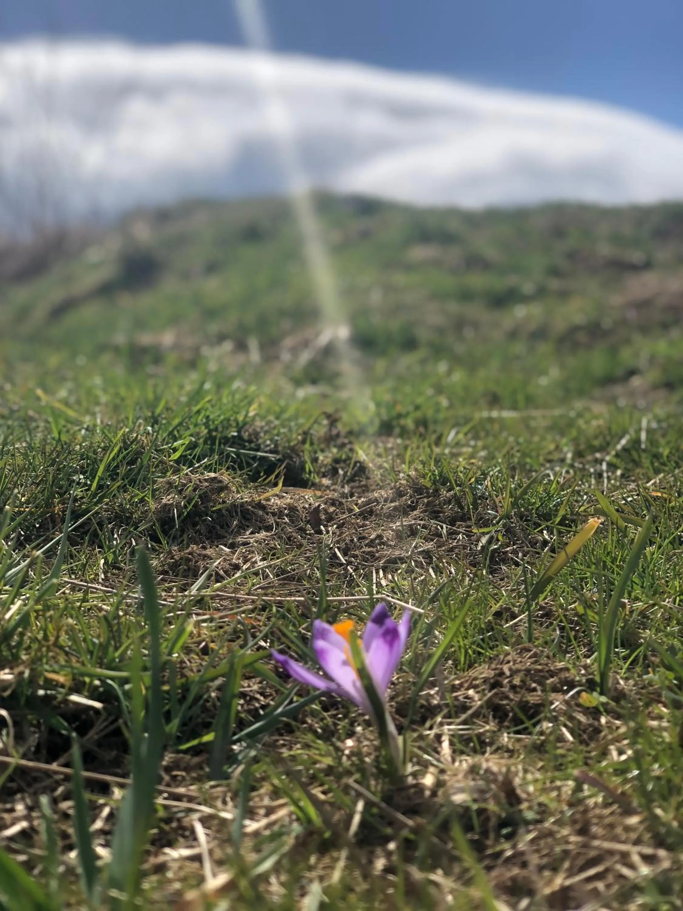 Spring in Geovita Zakopane