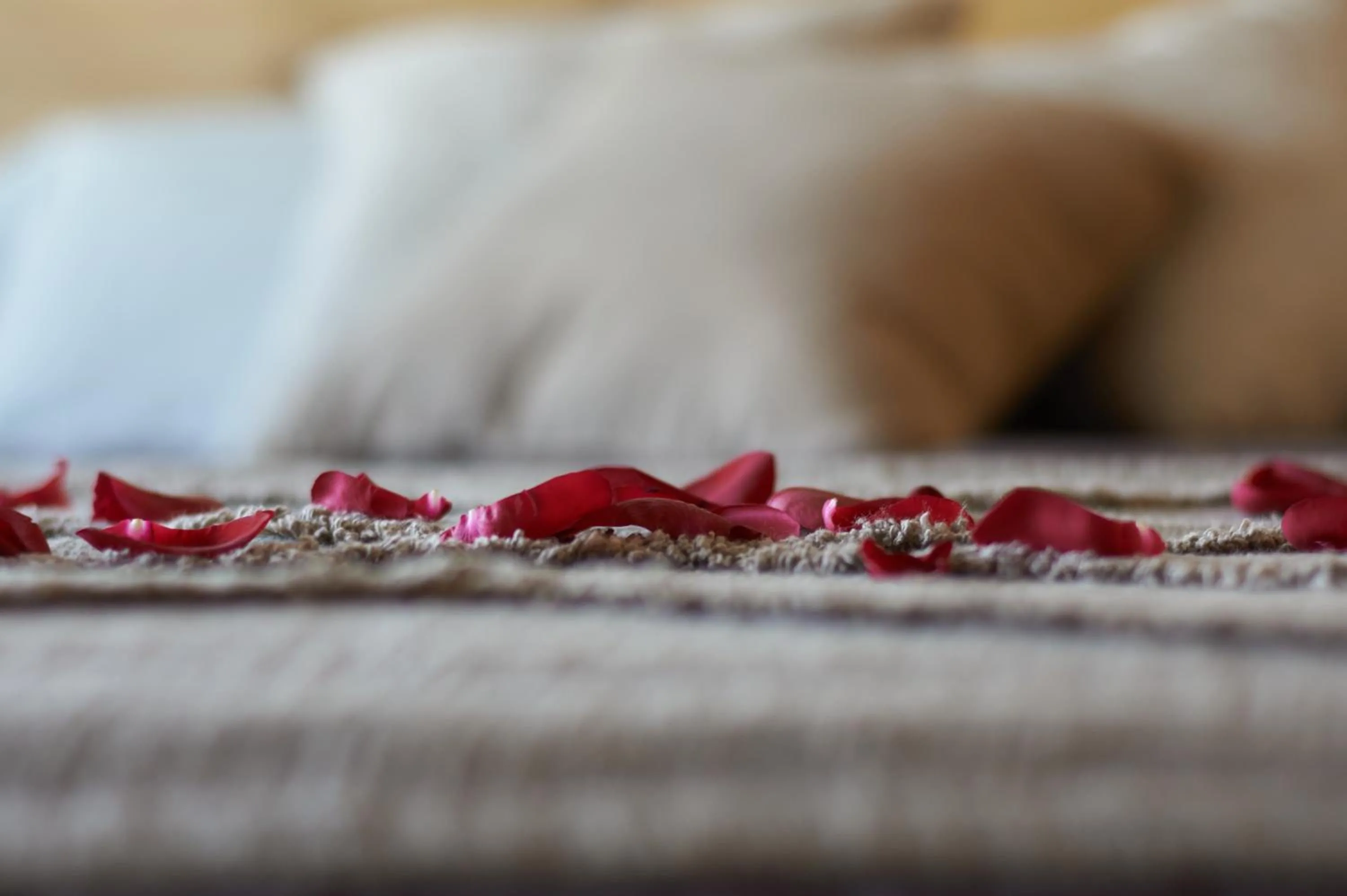 Decorative detail, Bed in HOTEL LA CABANA BERGA