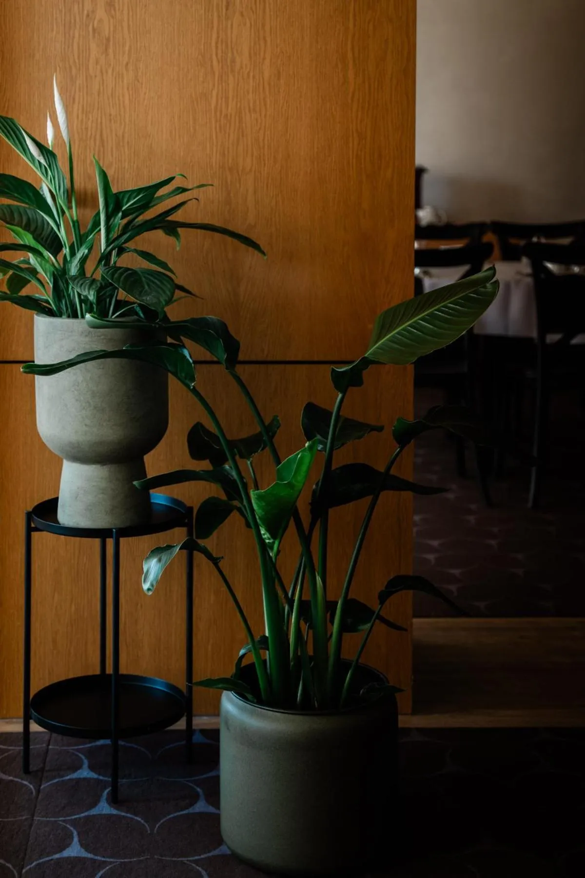 Restaurant/places to eat in Hotel Wodnik