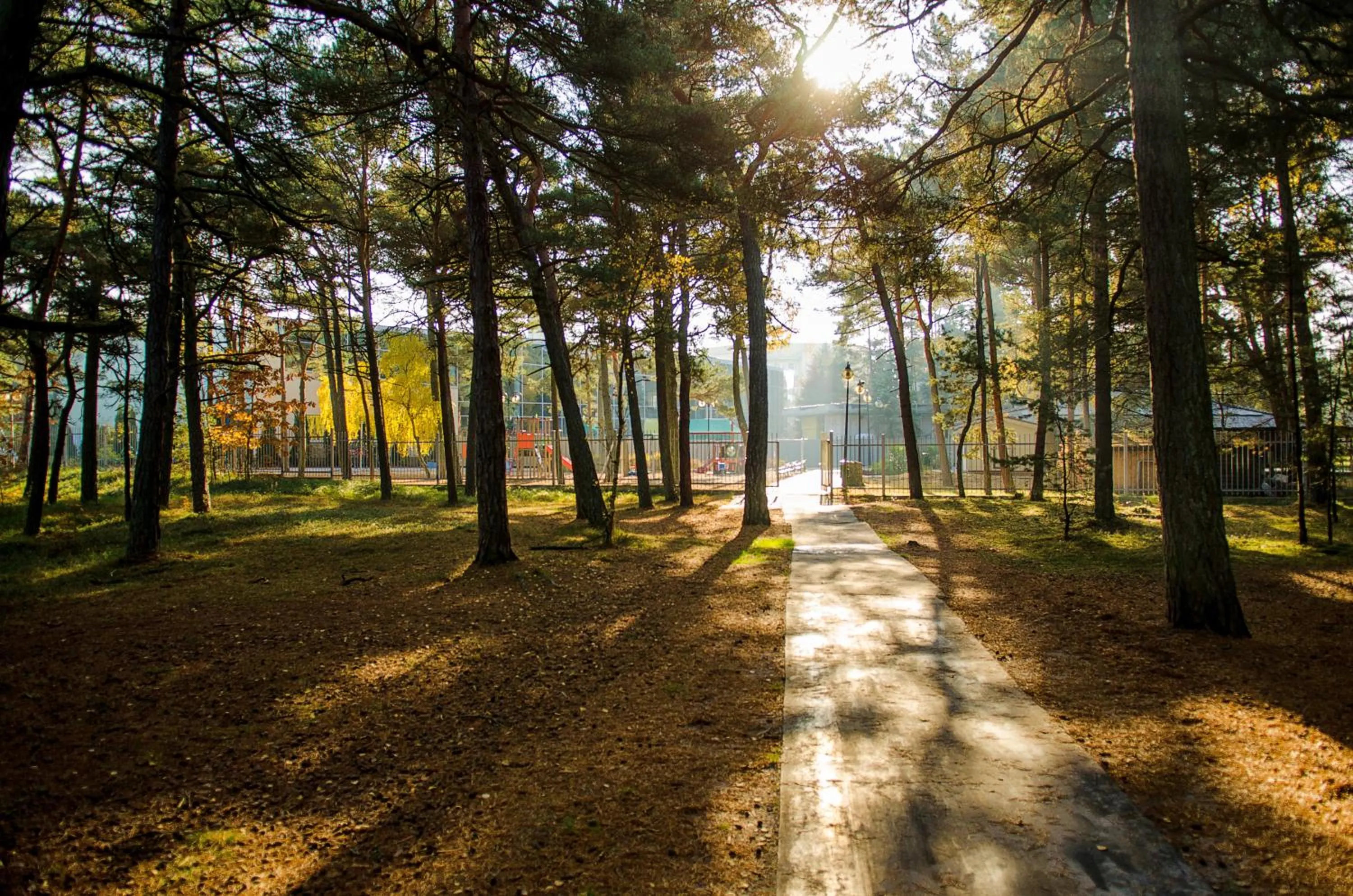 Day in Hotel Senator