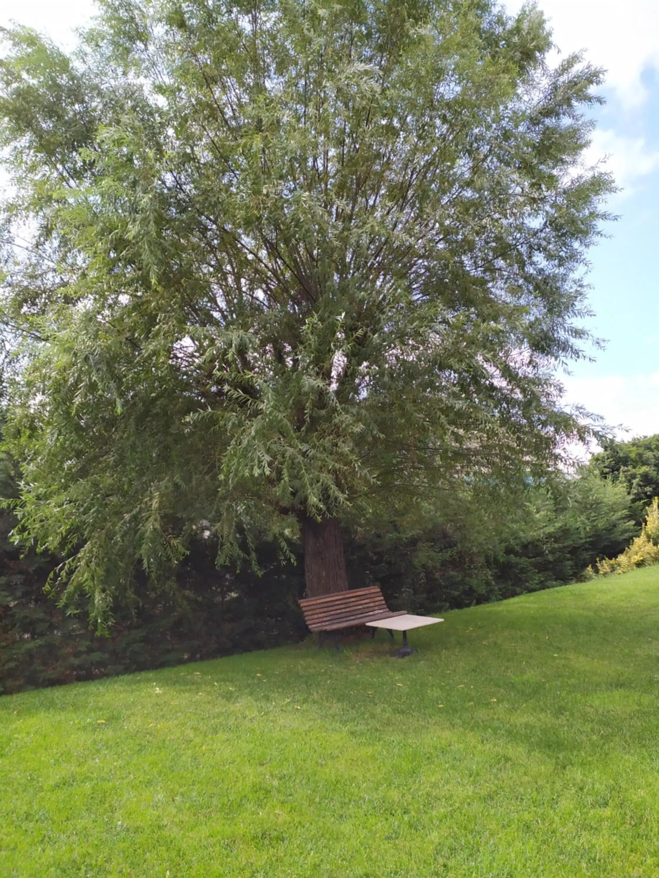 Spring in Ramada Encore Istanbul Bayrampasa