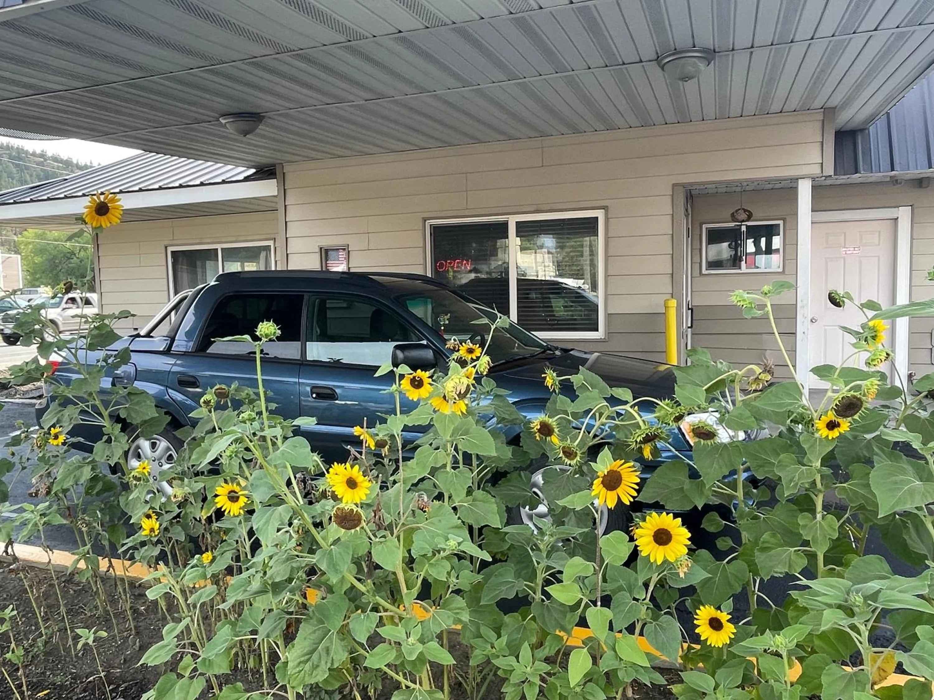 Property building in Budget 8 Motel