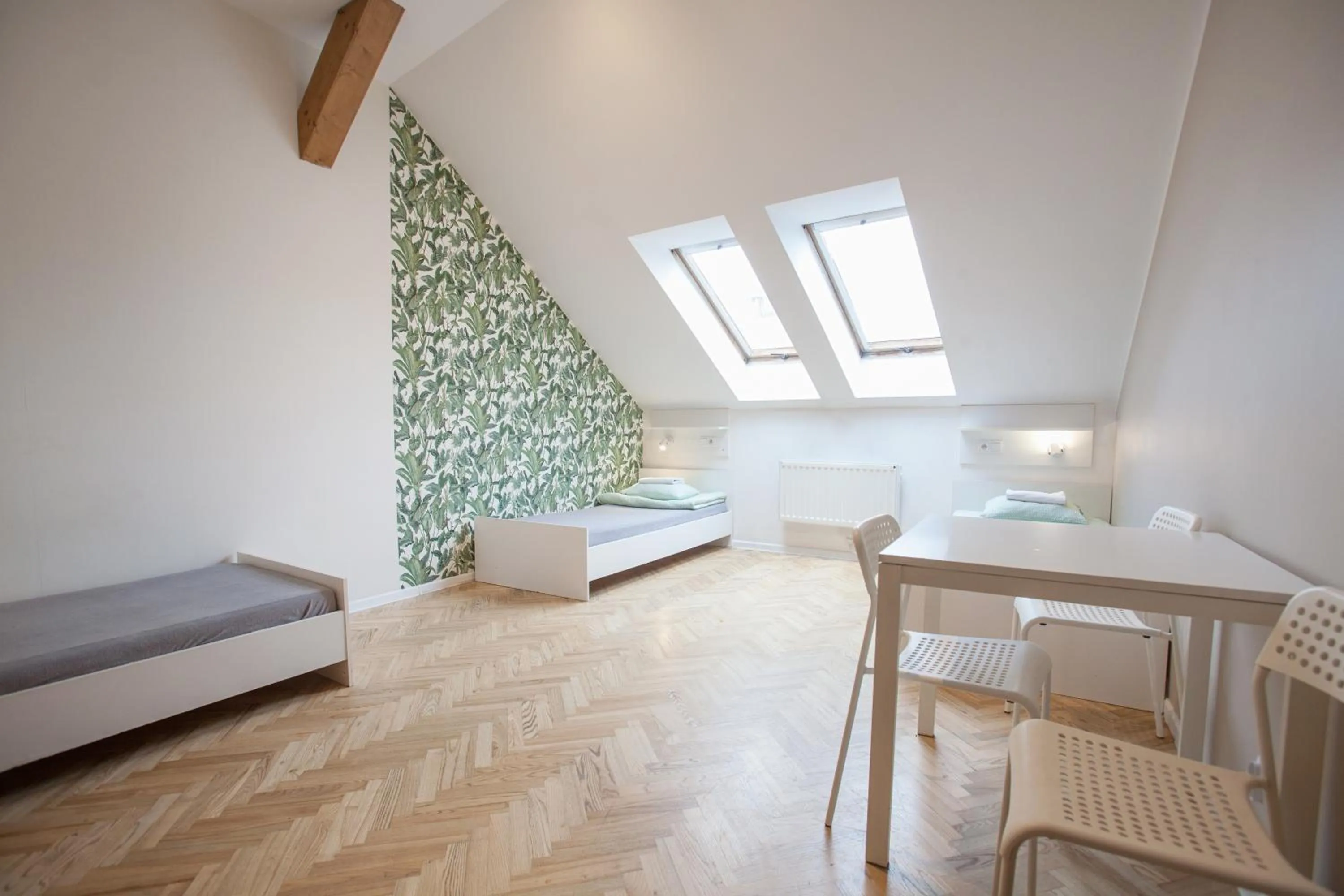 Bed in Dizzy Daisy Hostel