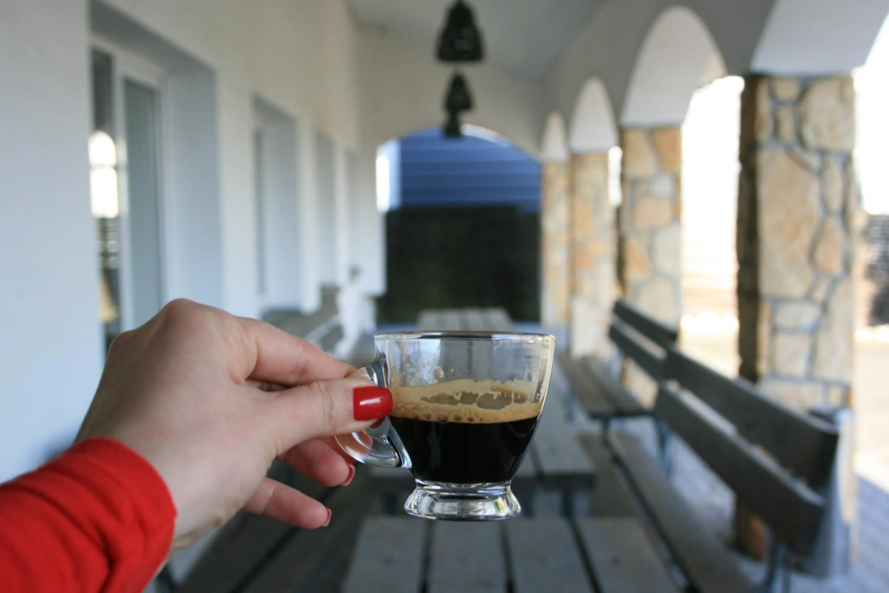 Garden view in Hotel Junior 2