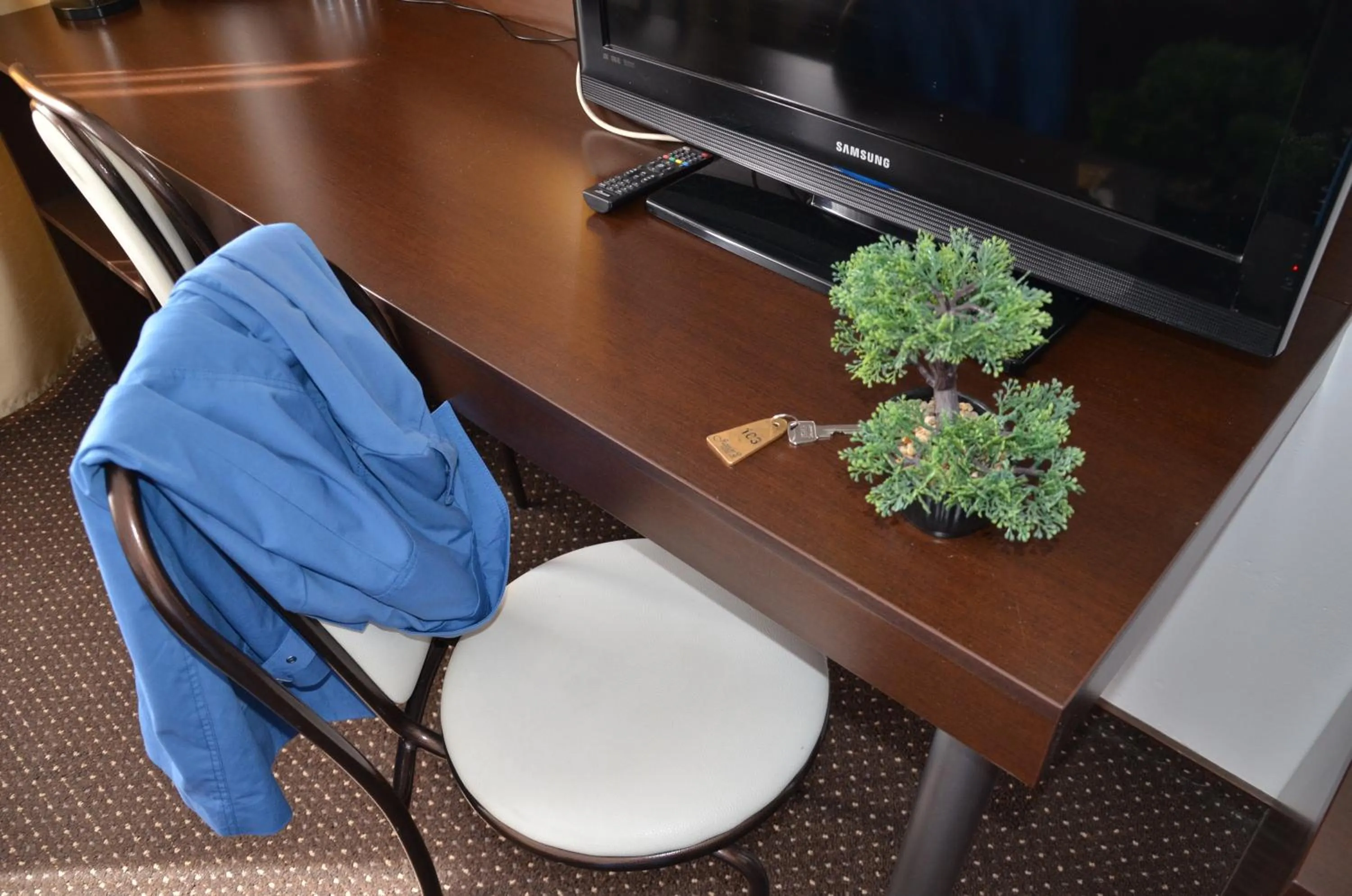 Guests in Hotel Junior 2