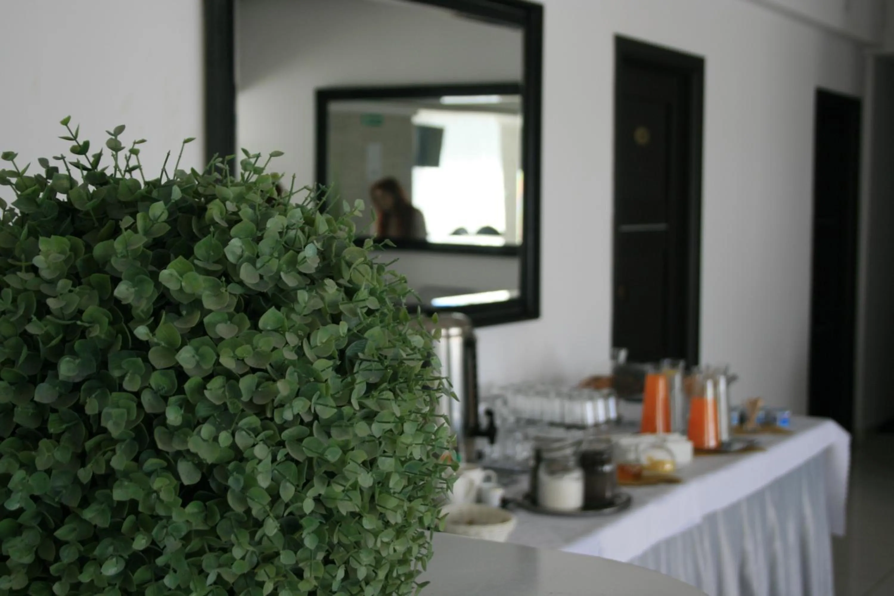 Food and drinks in Hotel Junior 2