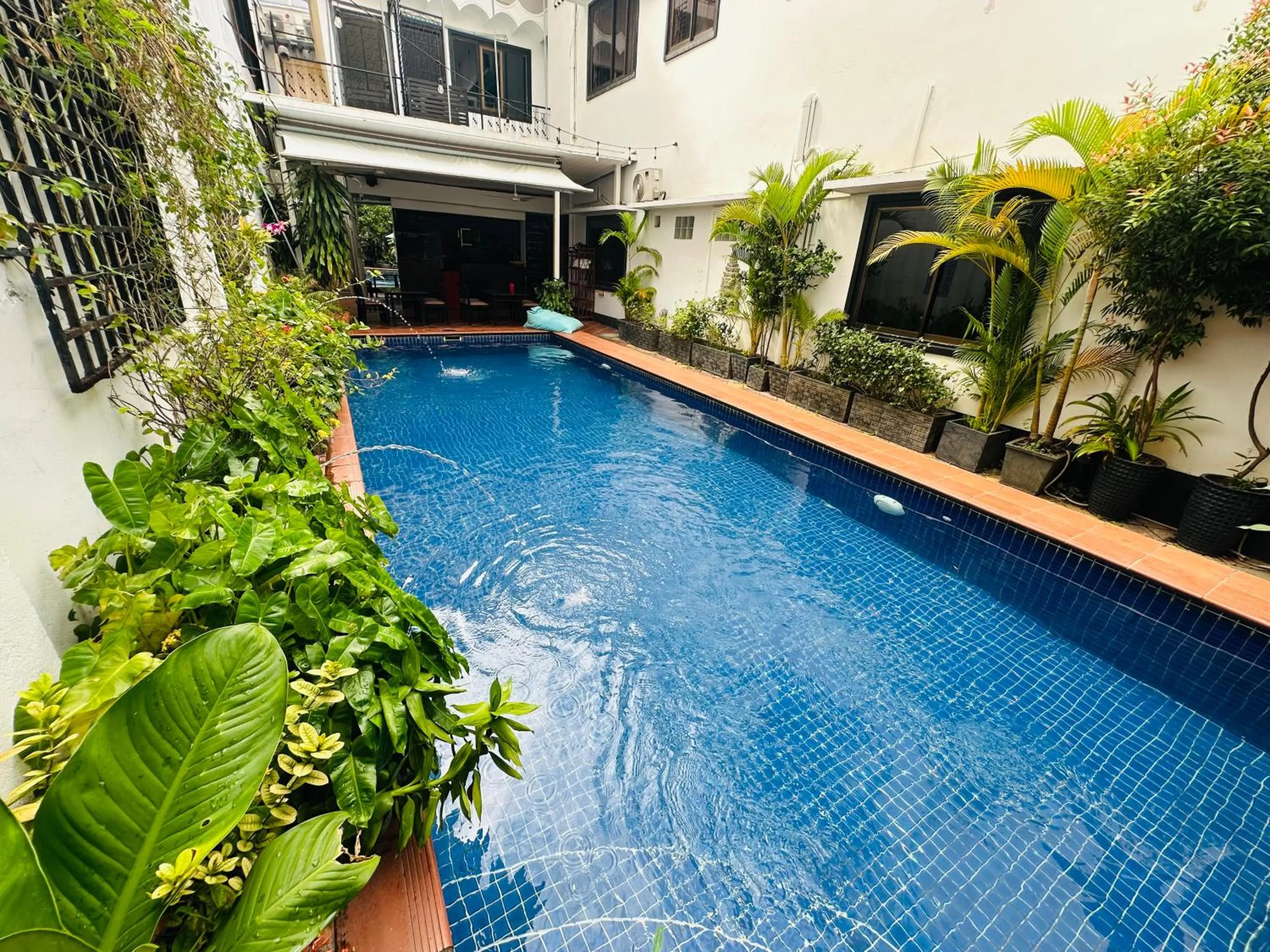 Swimming pool in Birdcage Boutique