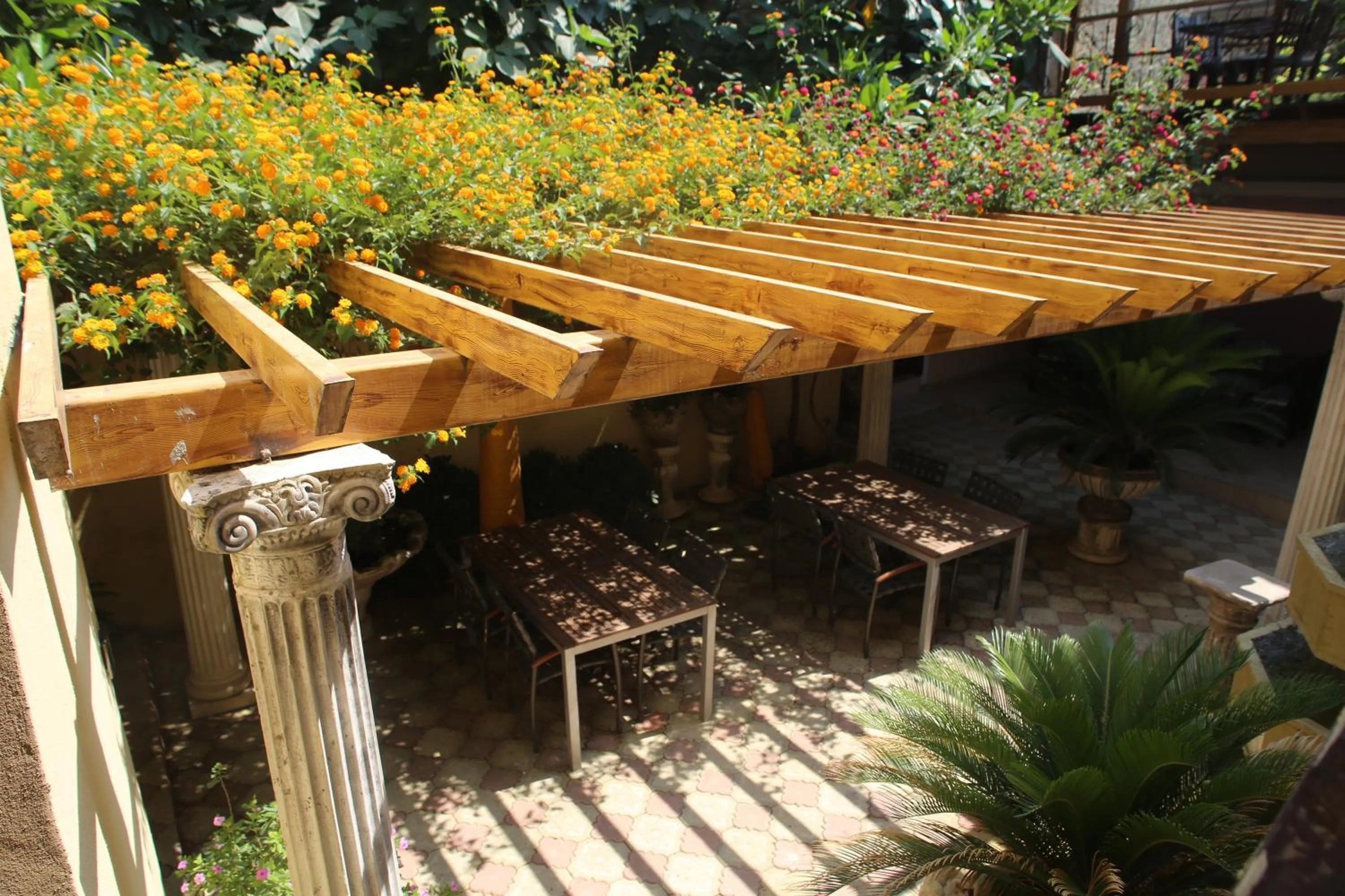 Garden in Osmanli Marco Pasha Hotel