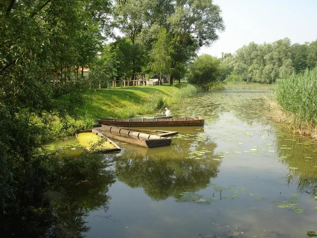 Natural landscape in Apartmani KA Sveti Martin