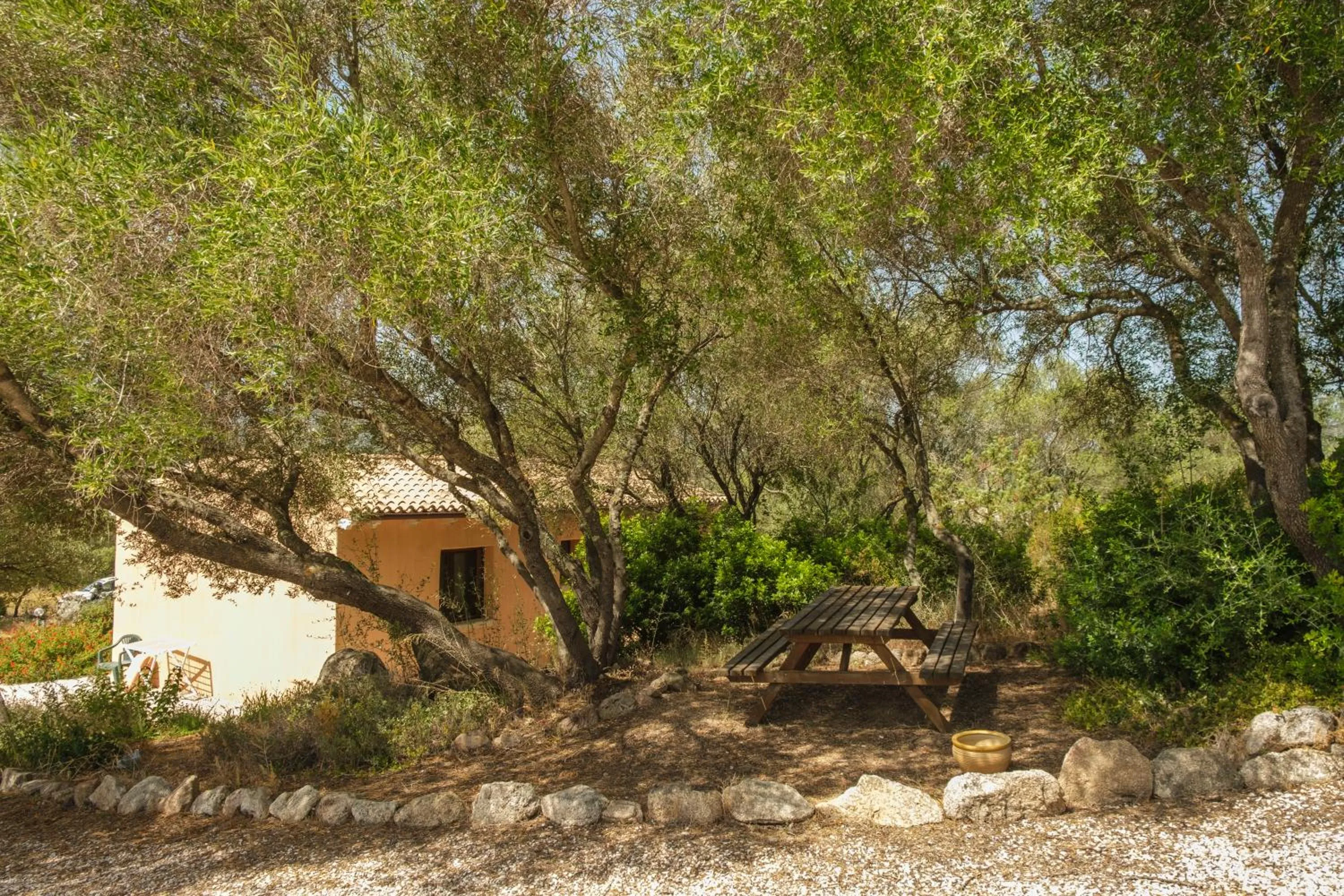 Natural landscape in B&B Terra e Smeralda