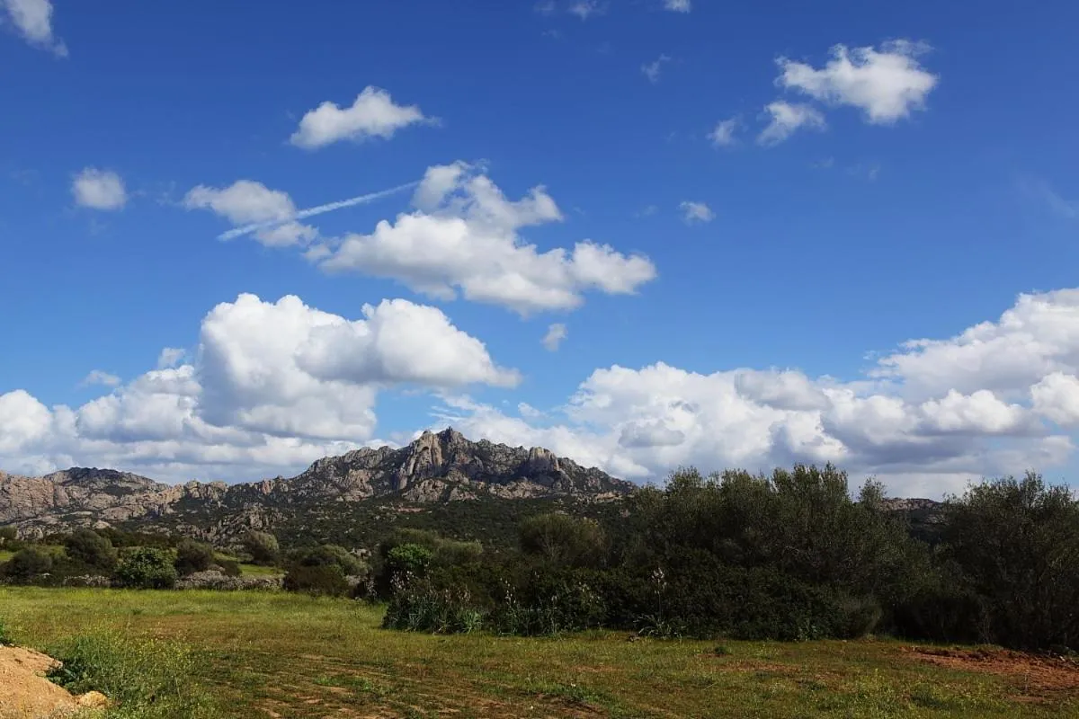 View (from property/room) in B&B Terra e Smeralda