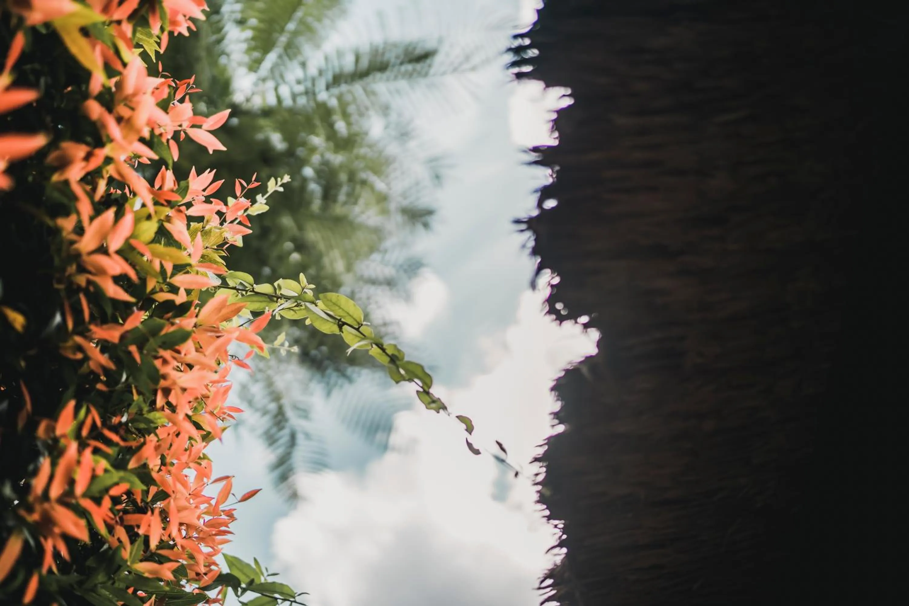 Day in Kharista Villas & Retreat by Ekosistem