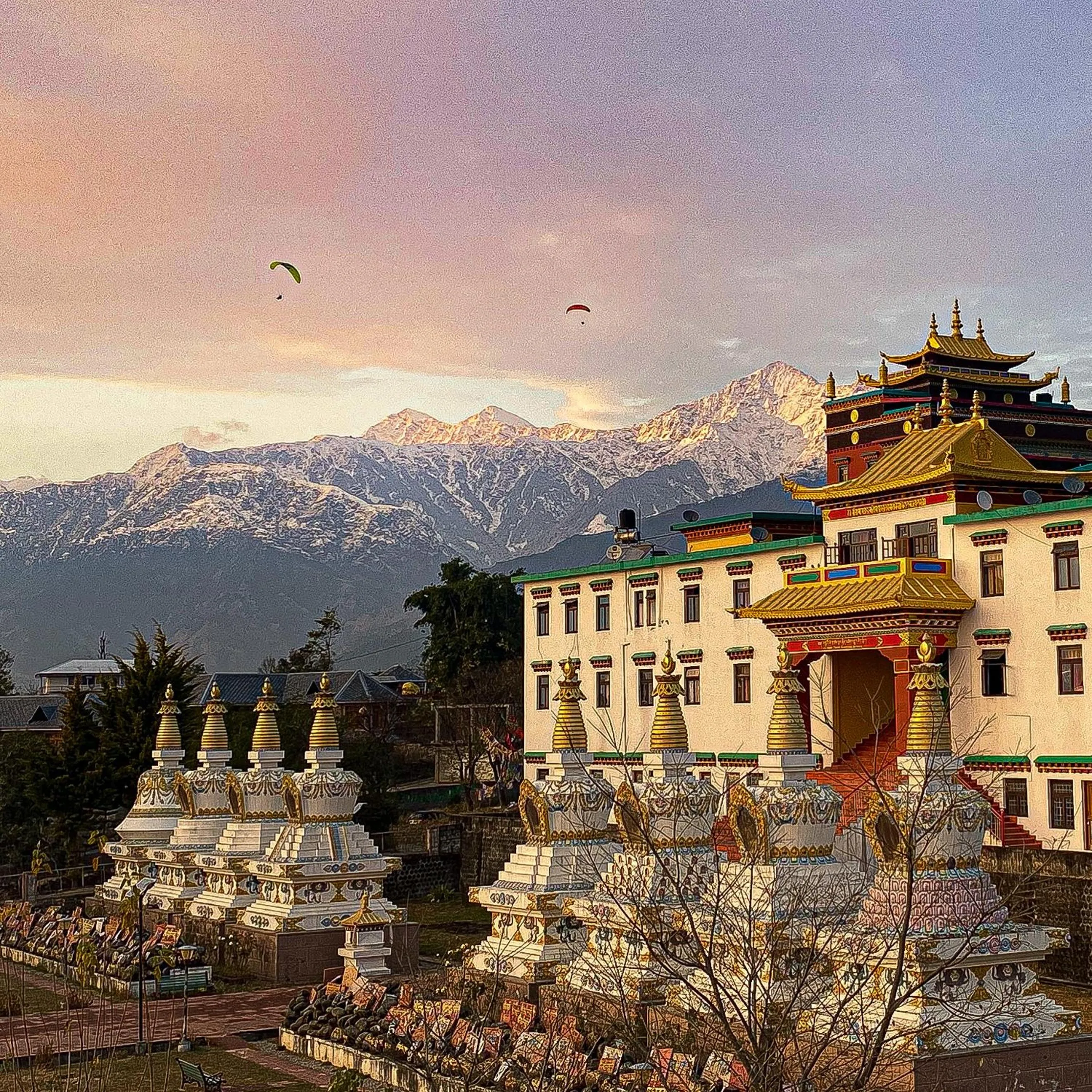 Activities in Chokling ArtHouse - The Treasure of Himalayas