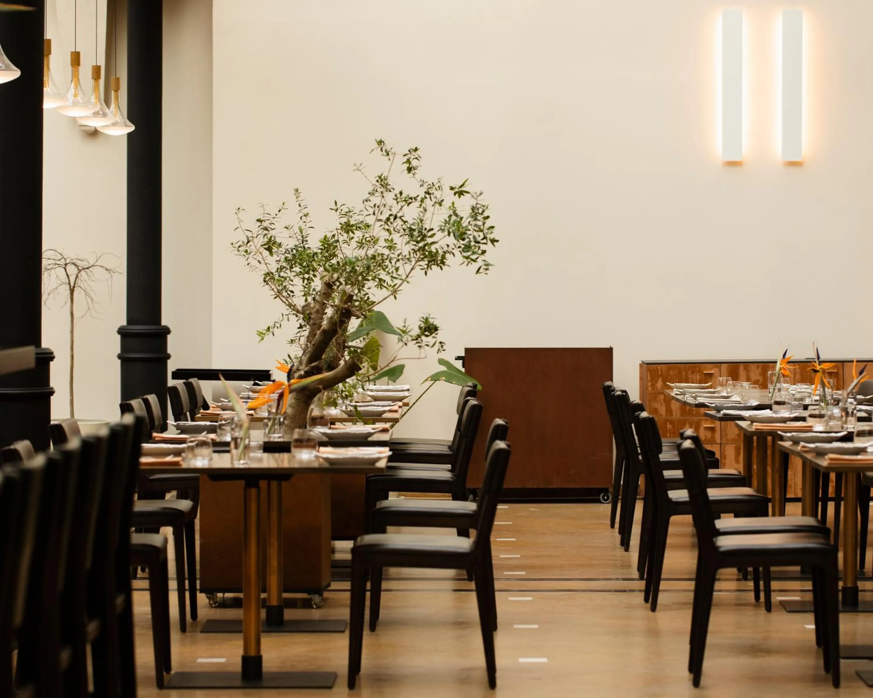 Restaurant/places to eat in Hotel Pod Różą