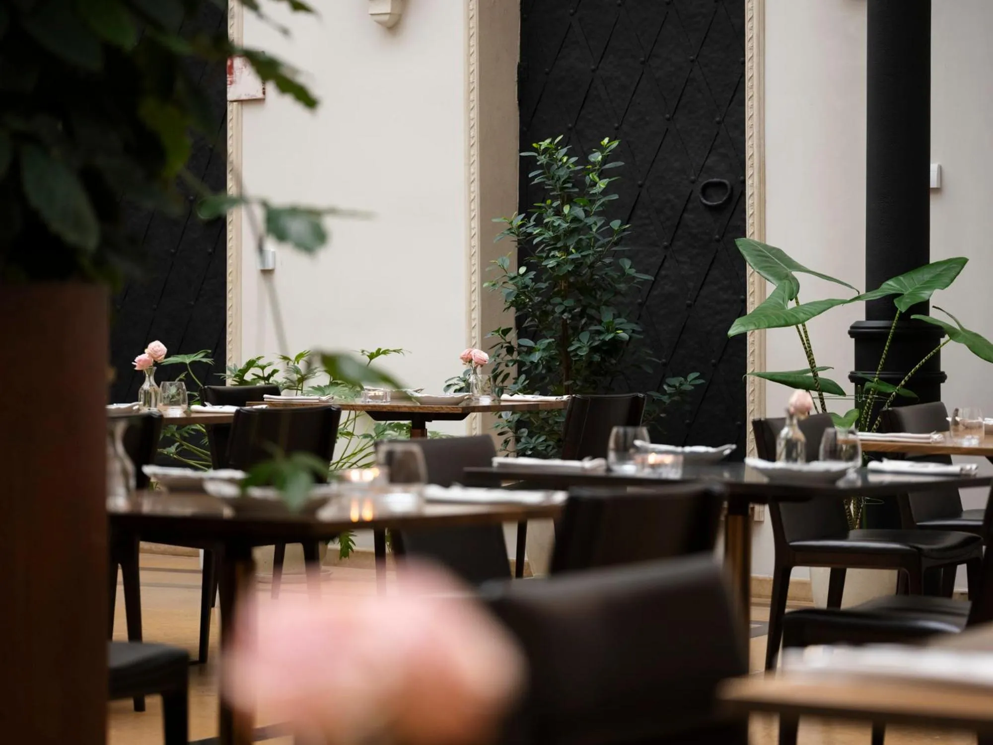 Restaurant/places to eat in Hotel Pod Różą