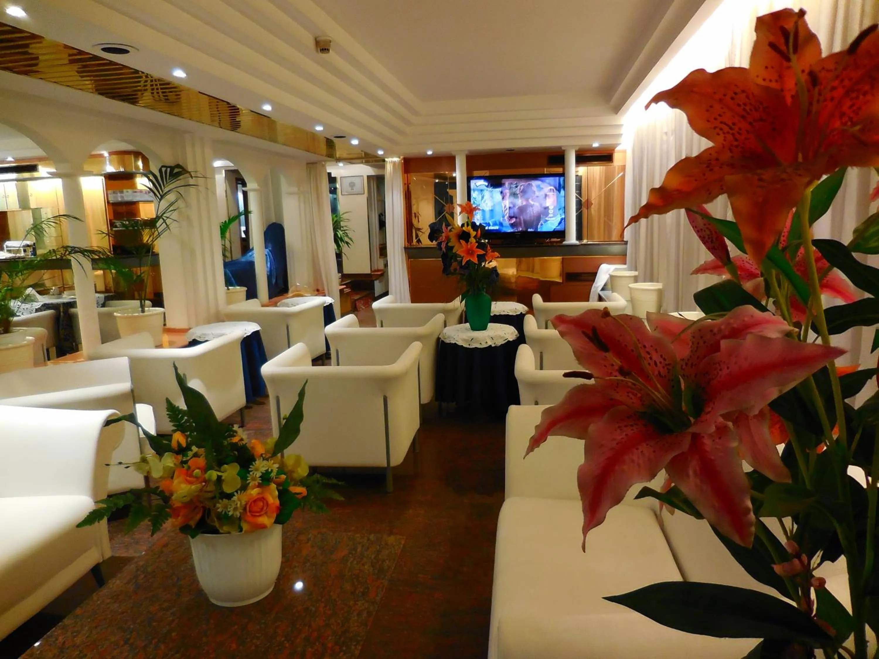 Communal lounge/ TV room in Hotel Roma