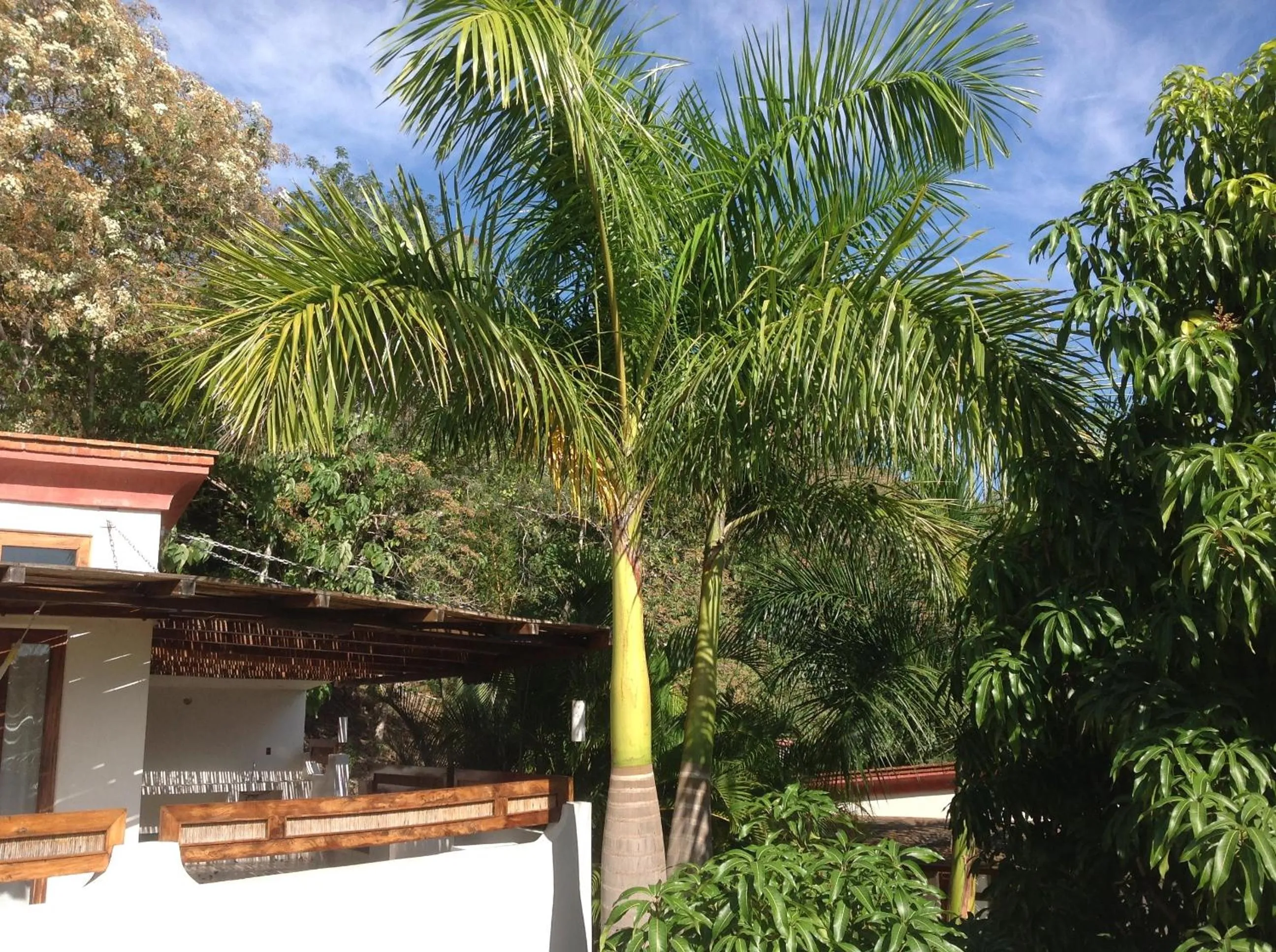 Casa Flor de Mar