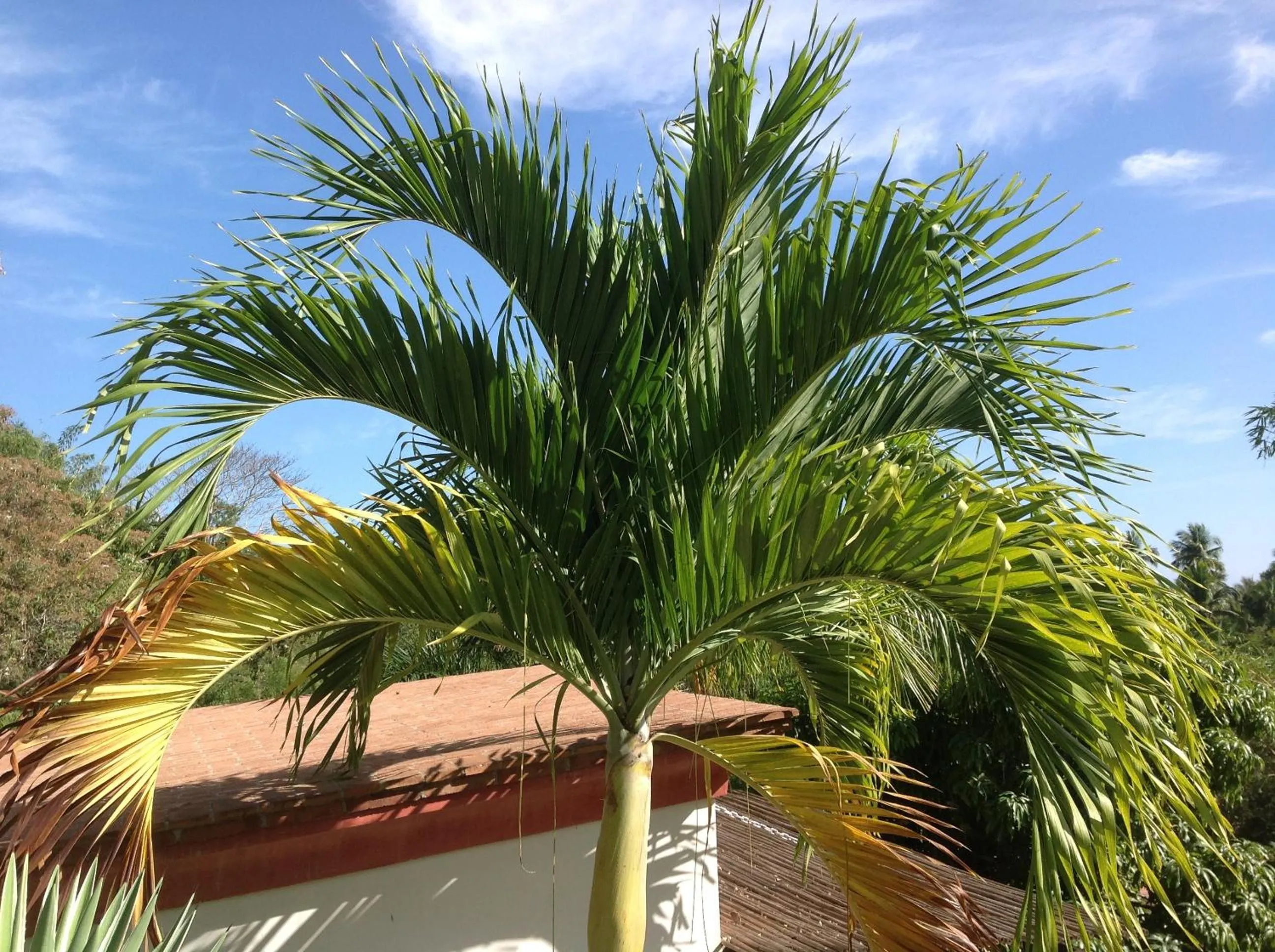 Casa Flor de Mar