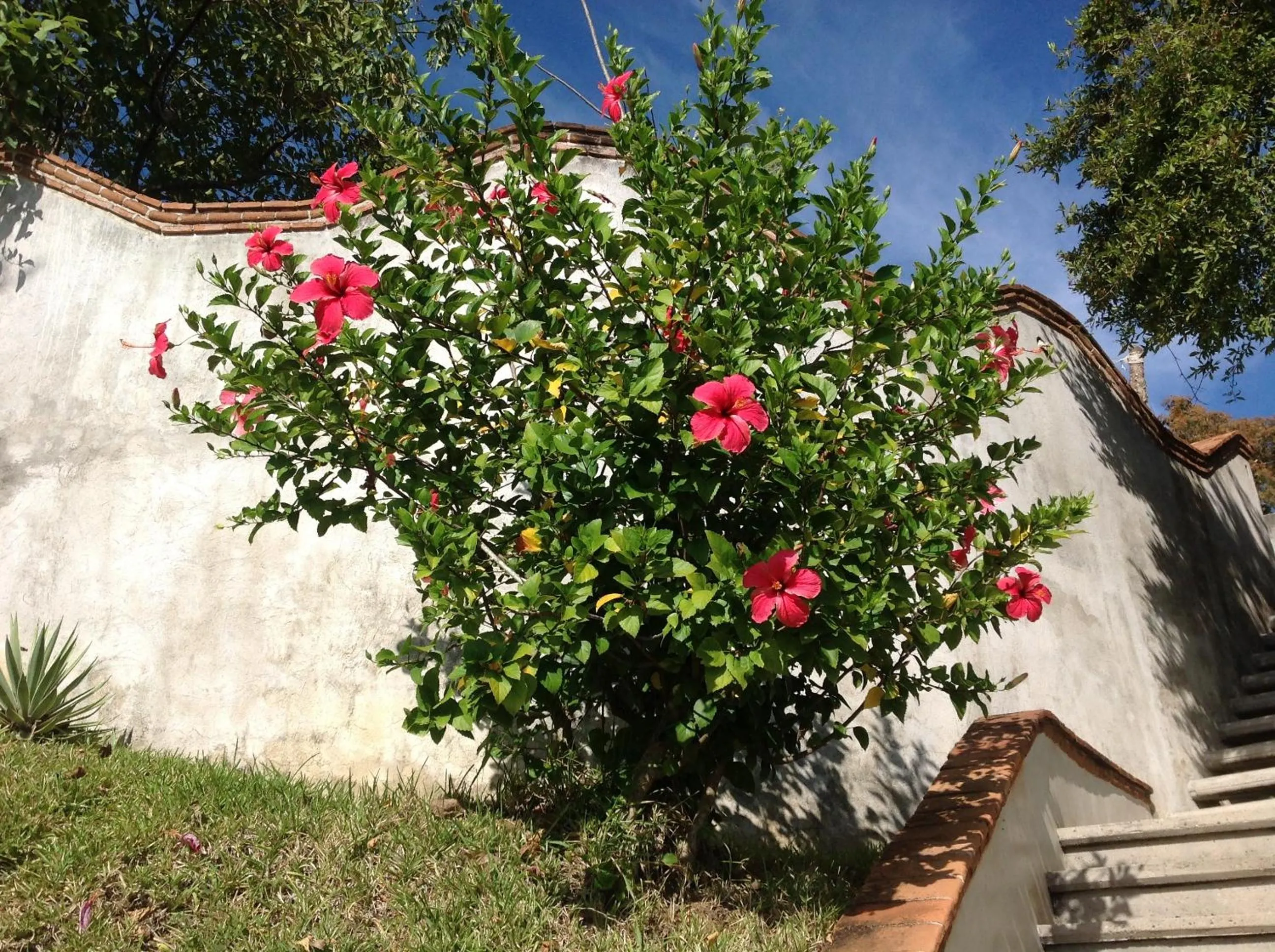 Casa Flor de Mar