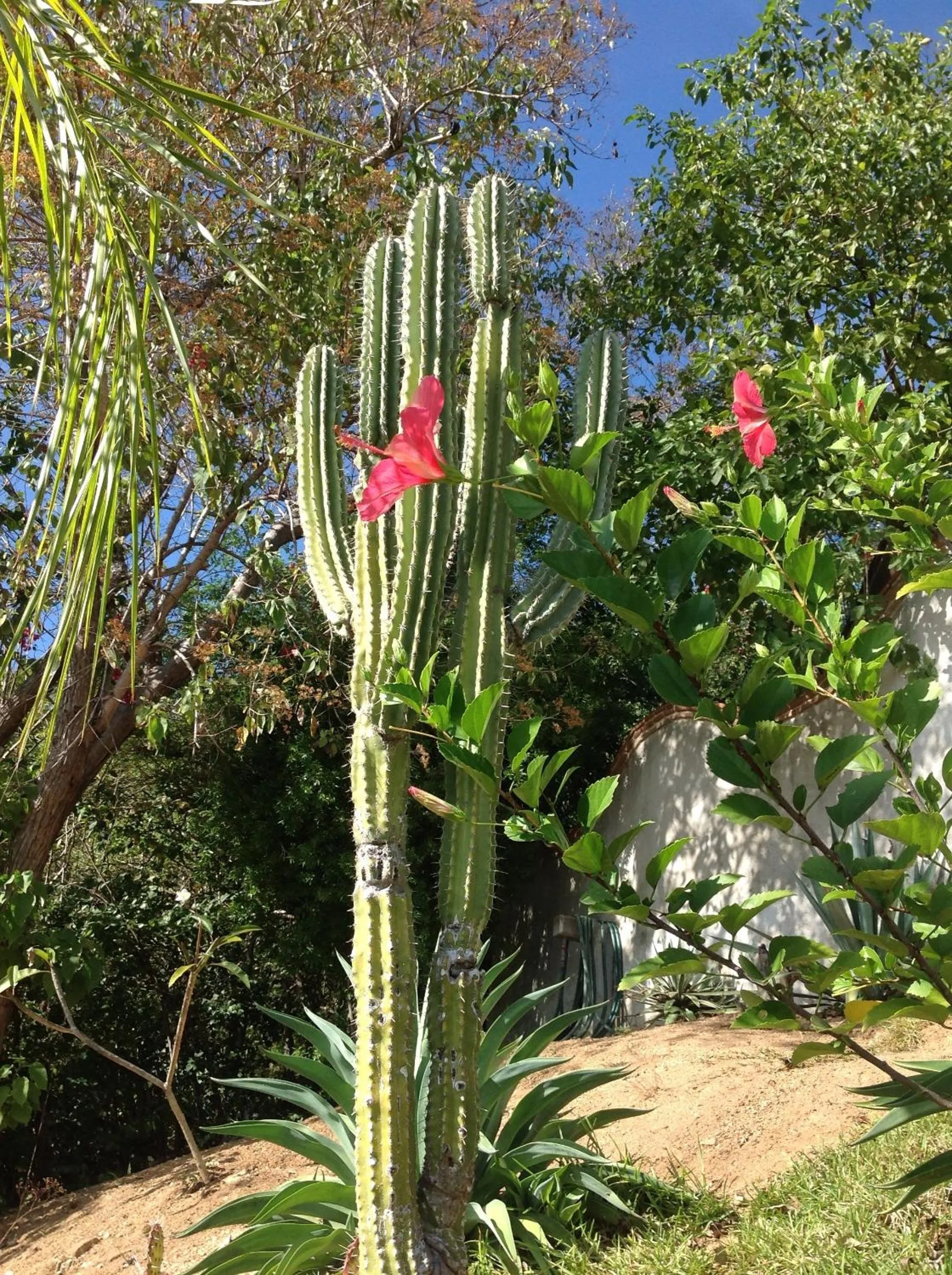 Casa Flor de Mar