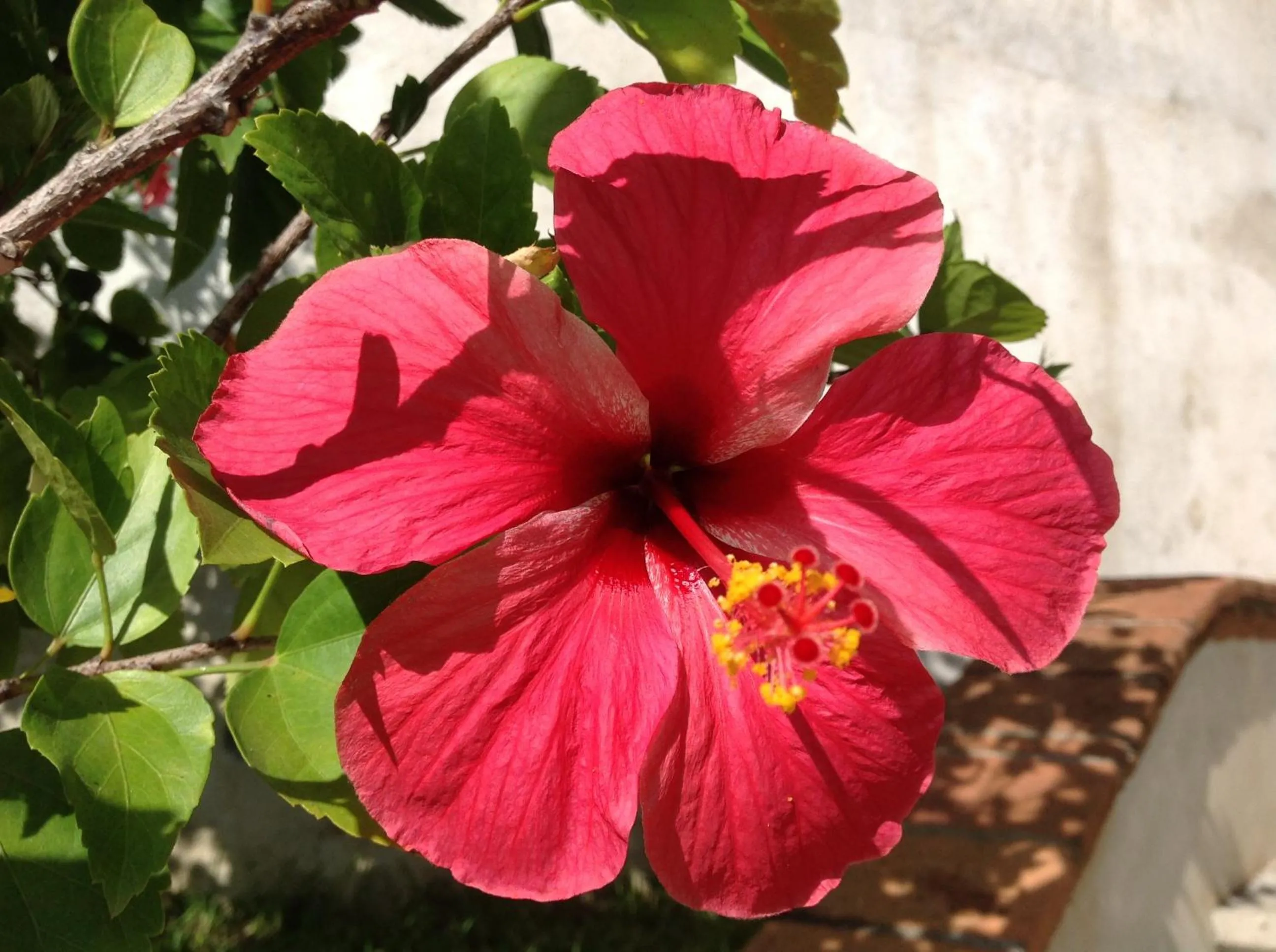 Casa Flor de Mar