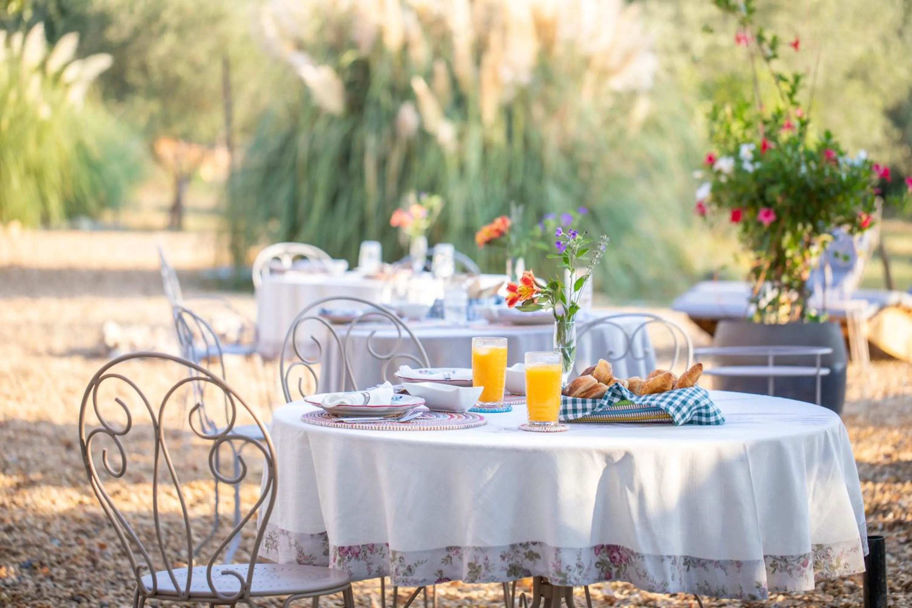 Garden in Le Mas des Romarins, FAYENCE