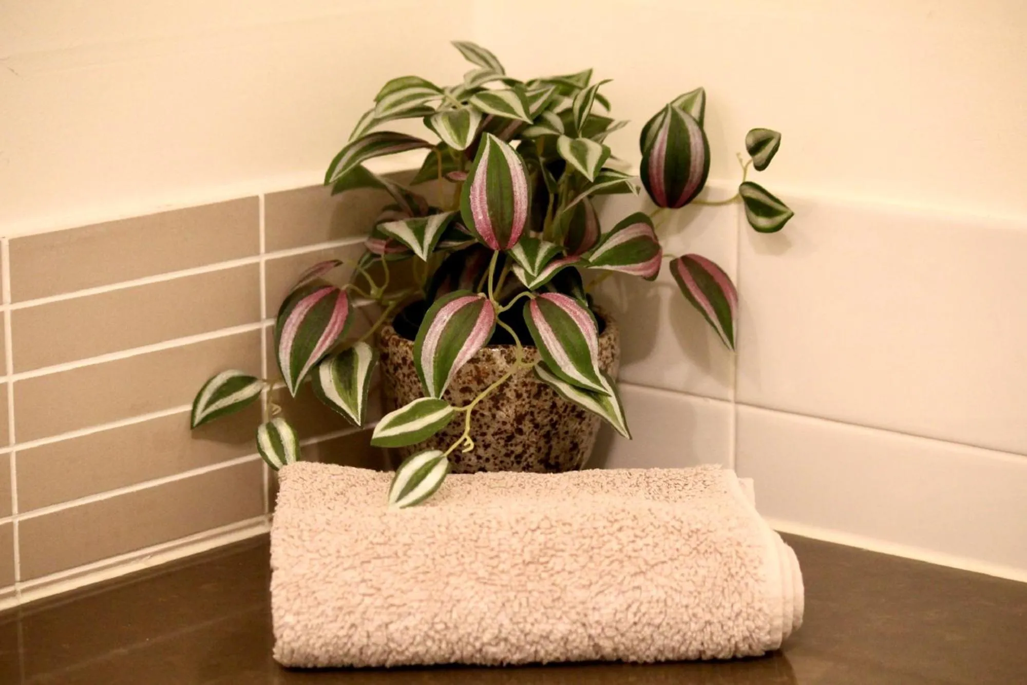 Decorative detail in Breeze Beachfront Apartment