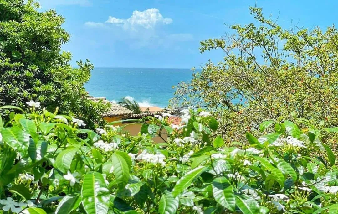 Garden in Vista Bela Pousada