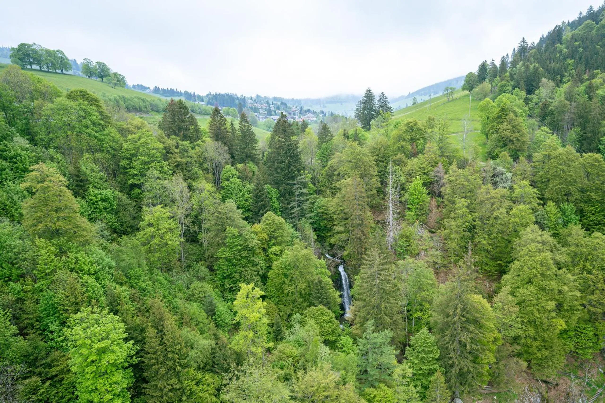 Activities in Black Forest Hotel Todtnau