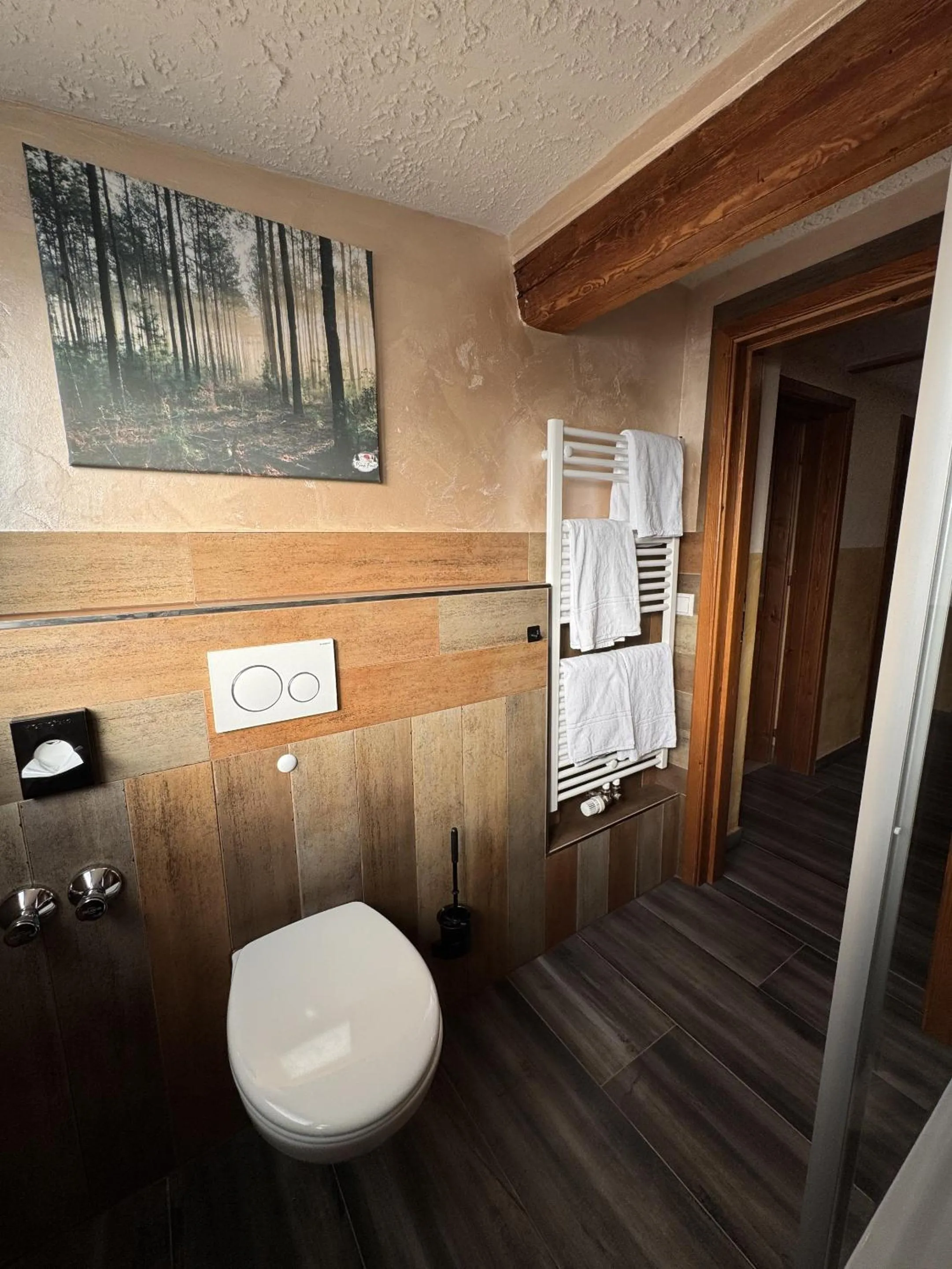 Bathroom in Black Forest Hotel Todtnau