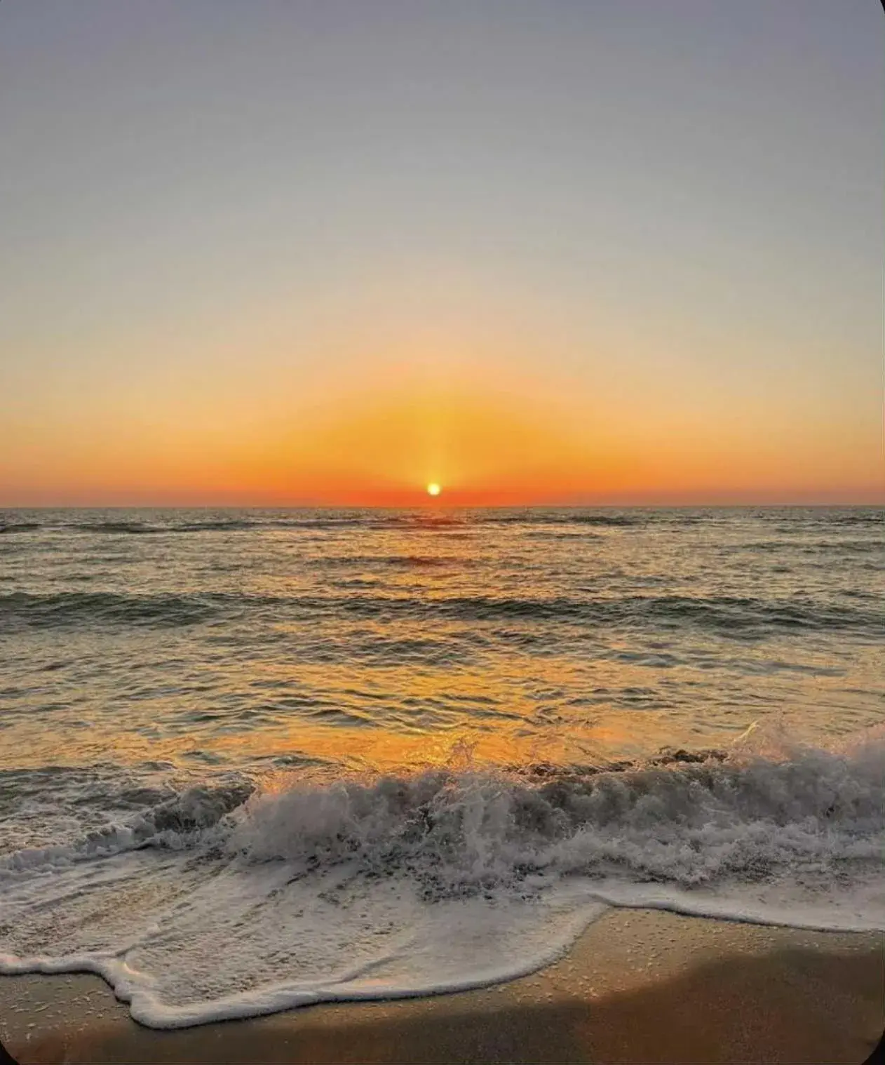 Under The Coconut Tree Hoi An Homestay Under The Coconut Tree Hoi An Homestay